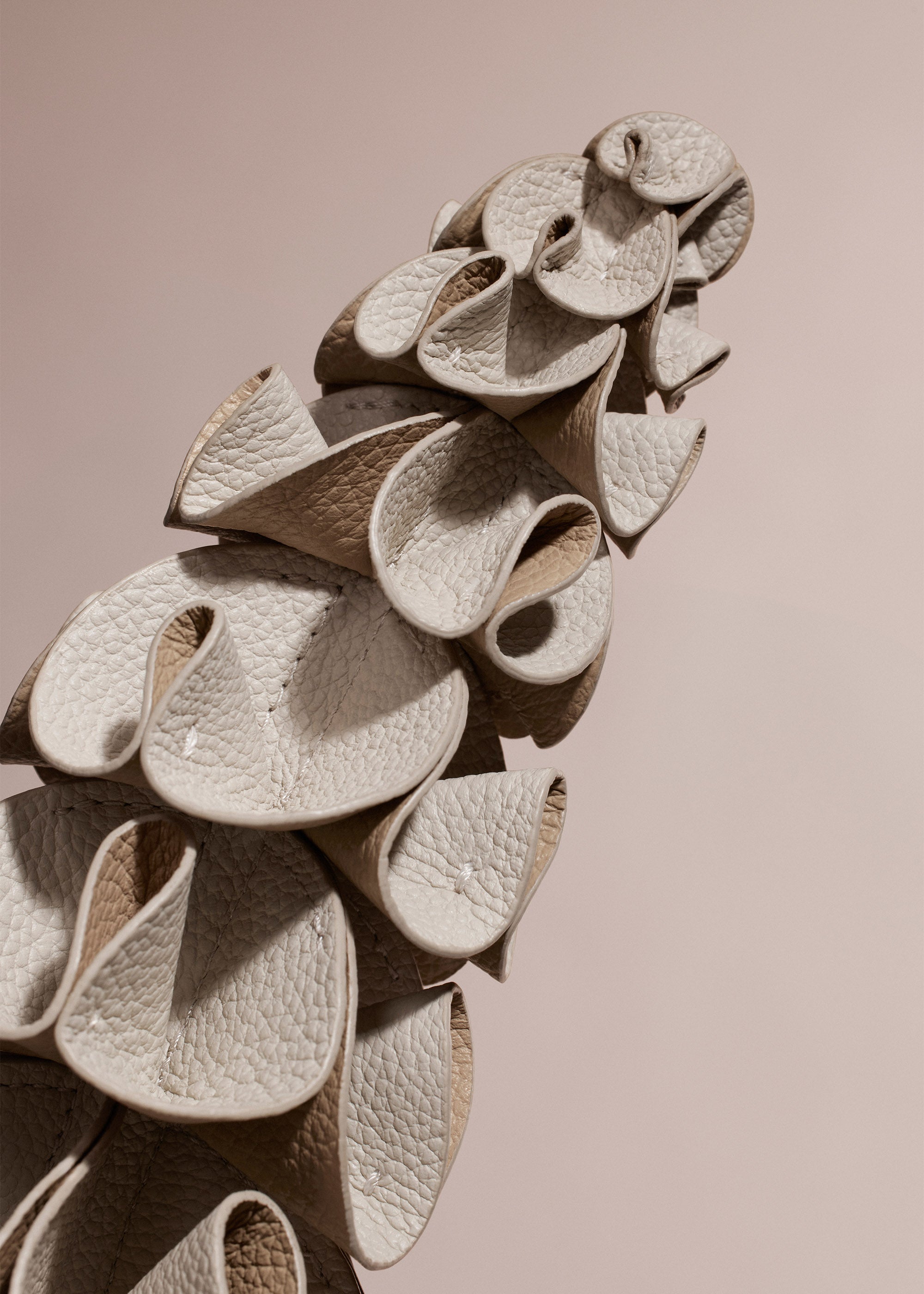 Fleur Orki - Duo Craie Grain茅、mySite、camillekostekn