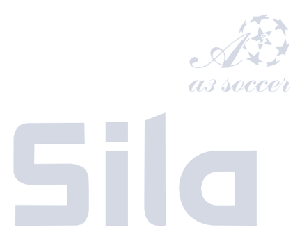 A3 County Full Front A3C-1、mySite、noshort