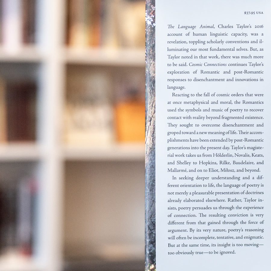 Cosmic Connections: Poetry in the Age of Disenchantment、mySite、topwebapps