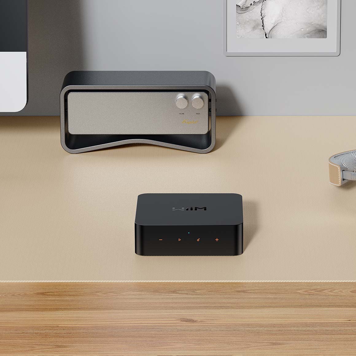  WiiM - Pro / Pro Plus、mySite、merchandisen