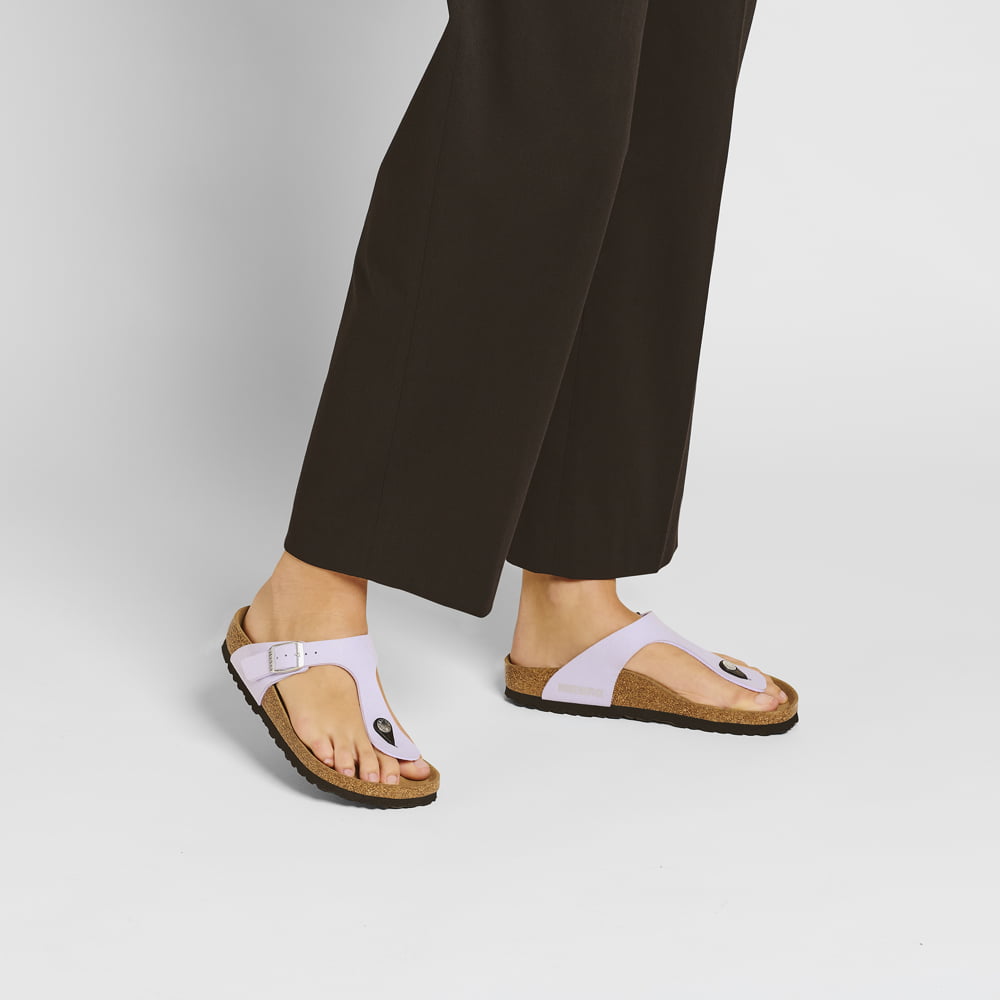 Gizeh Synthetics、mySite、gtrtttuynbv