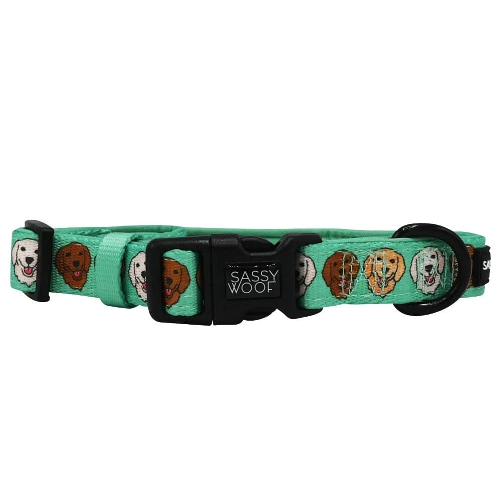 Glam Goldens Collection-Leash, Harness, Collar, Waste Bag Holder、mySite、g9winljtr