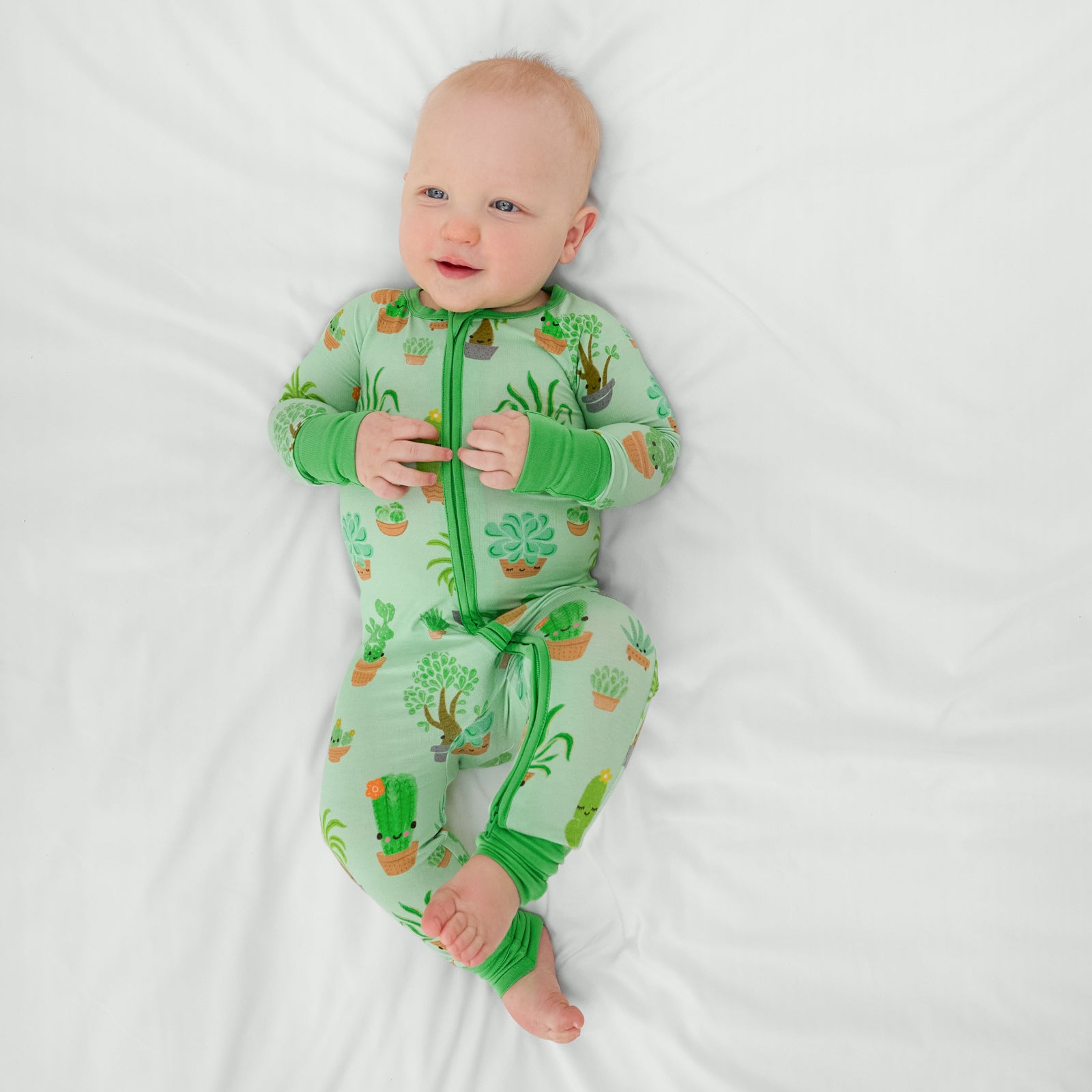  Succulent Love Zippy、mySite、layawaytickets