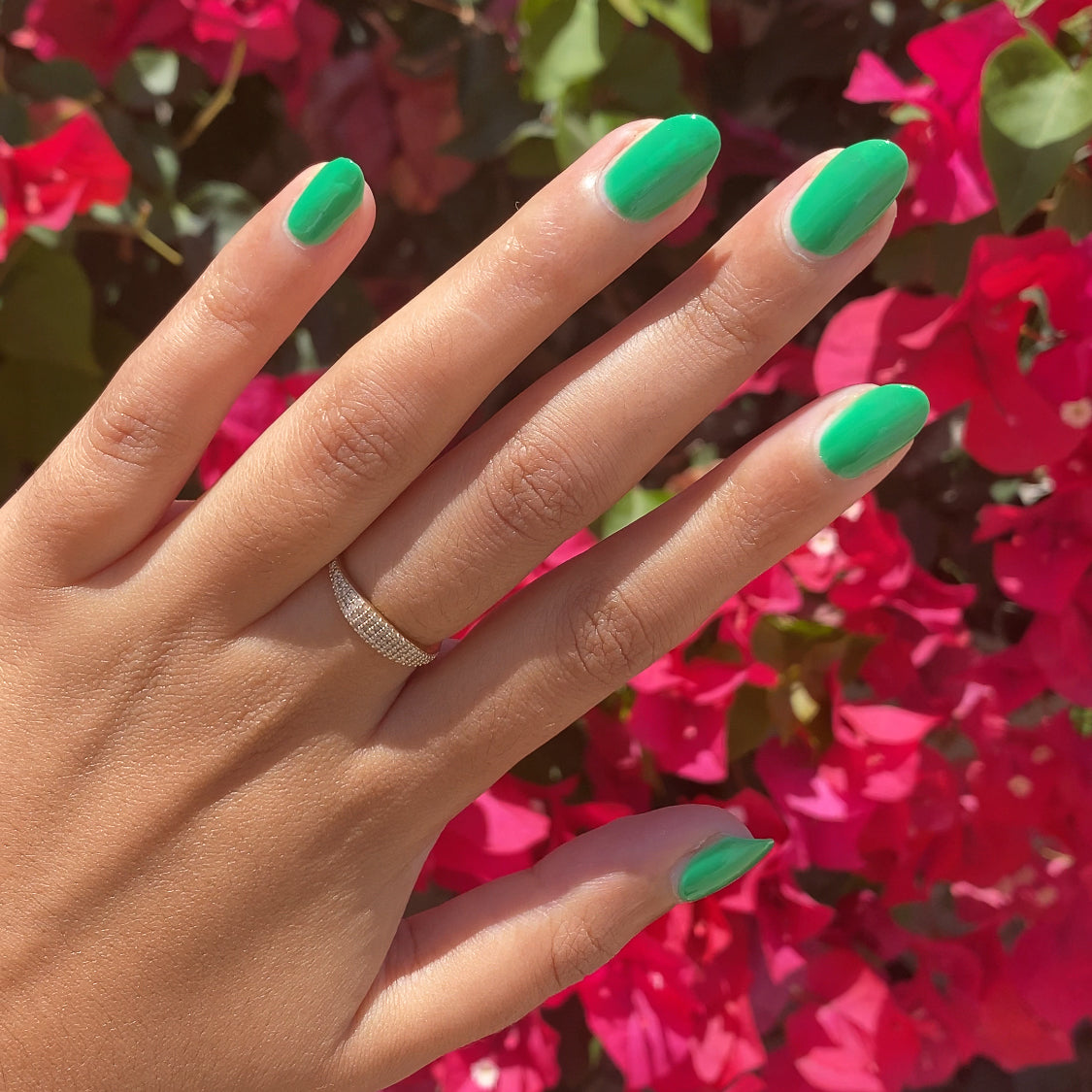 Bocce Ball、mySite、solidvoid