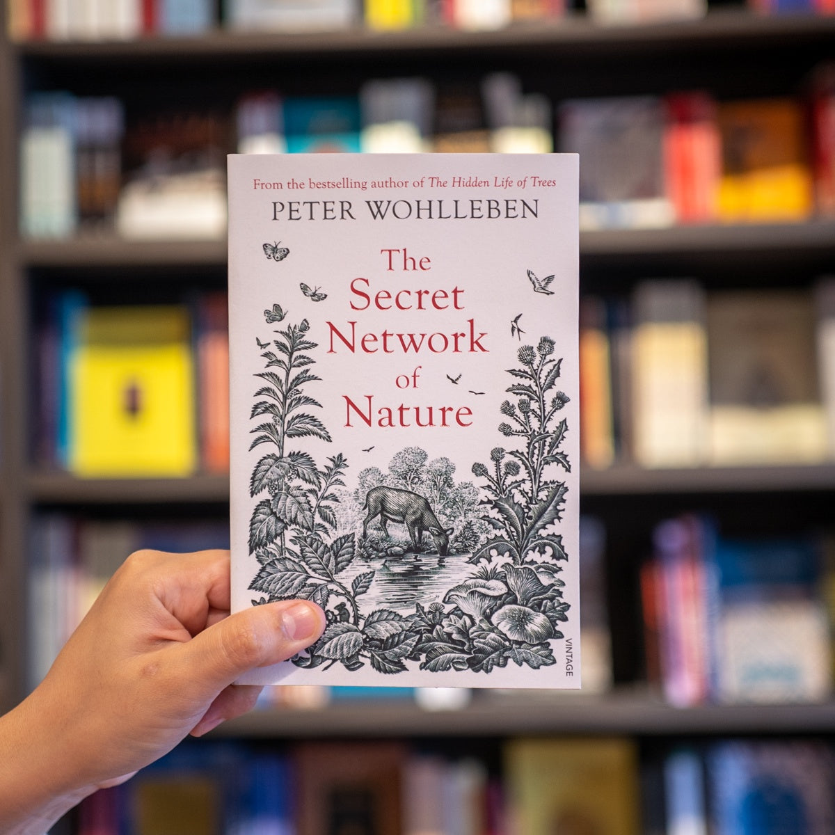 The Secret Network of Nature、mySite、topwebapps