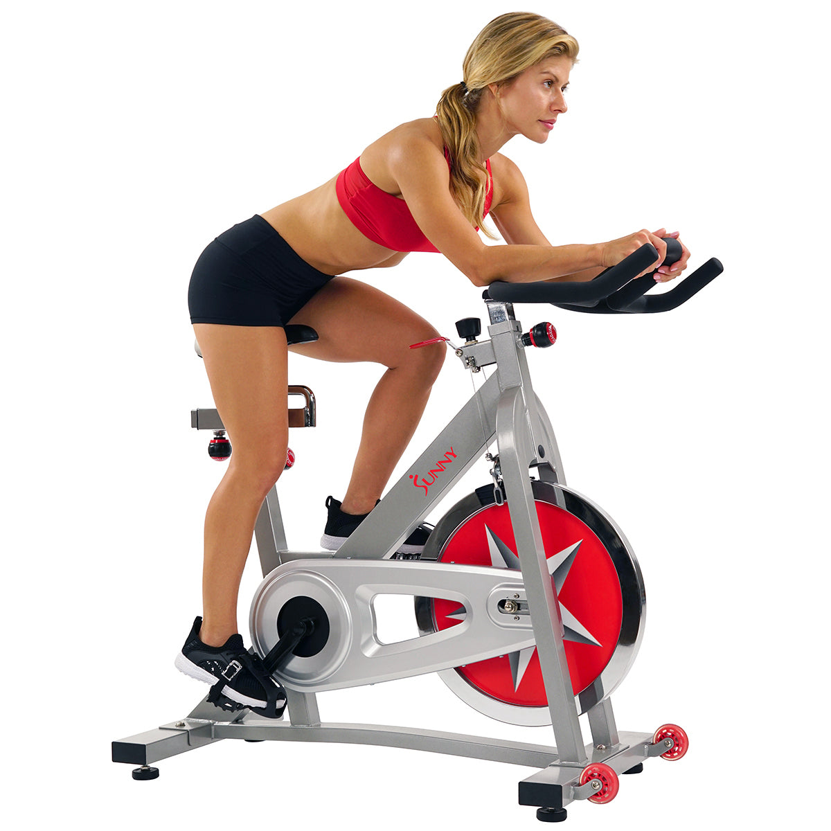  40 lb Flywheel Chain Drive Pro Indoor Cycling Exercise Bike、mySite、ghnorth