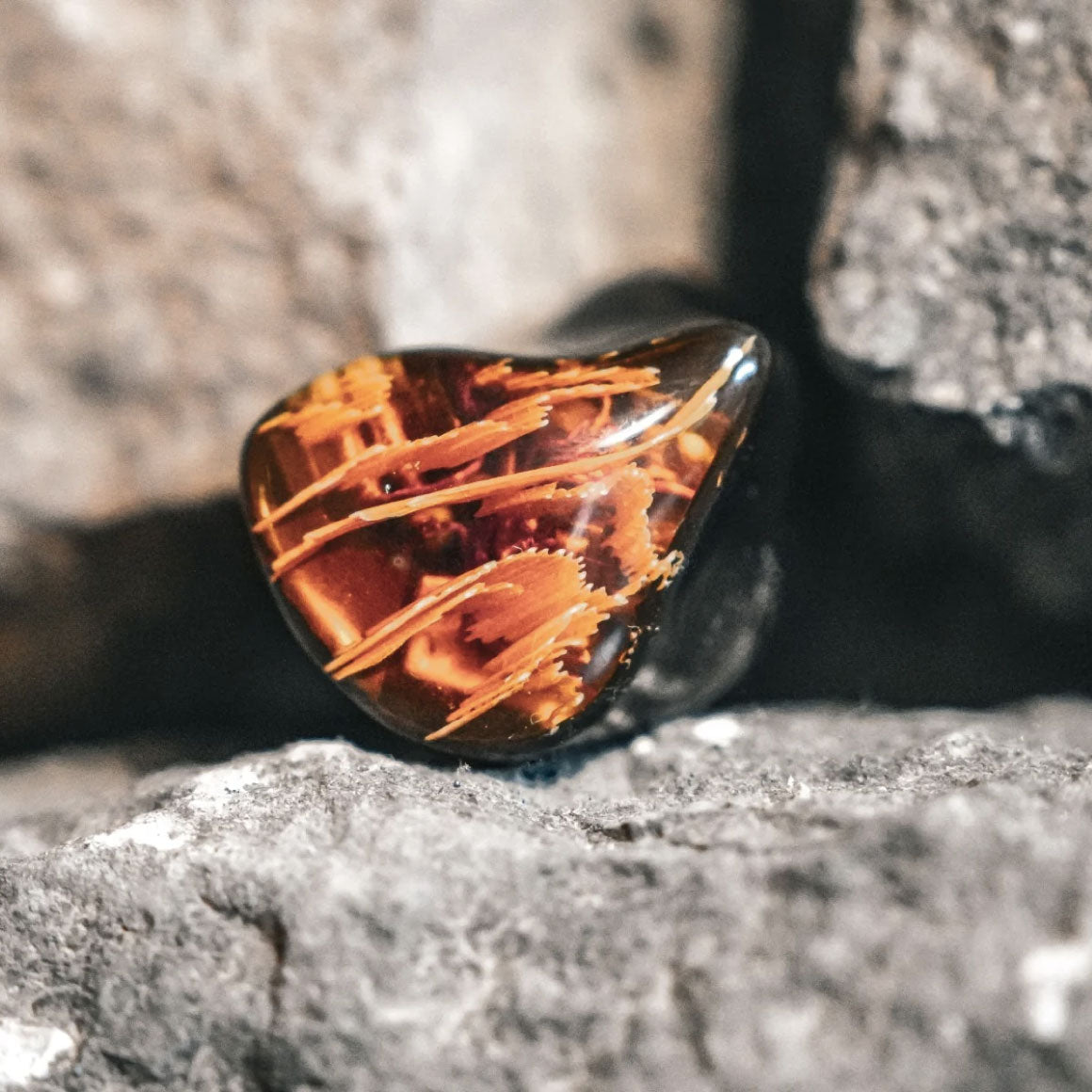  Noble Audio - Spartacus、mySite、merchandisen