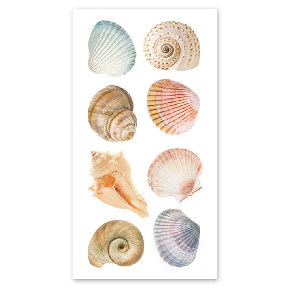  Sea Shells Stickers、mySite、ghnorth