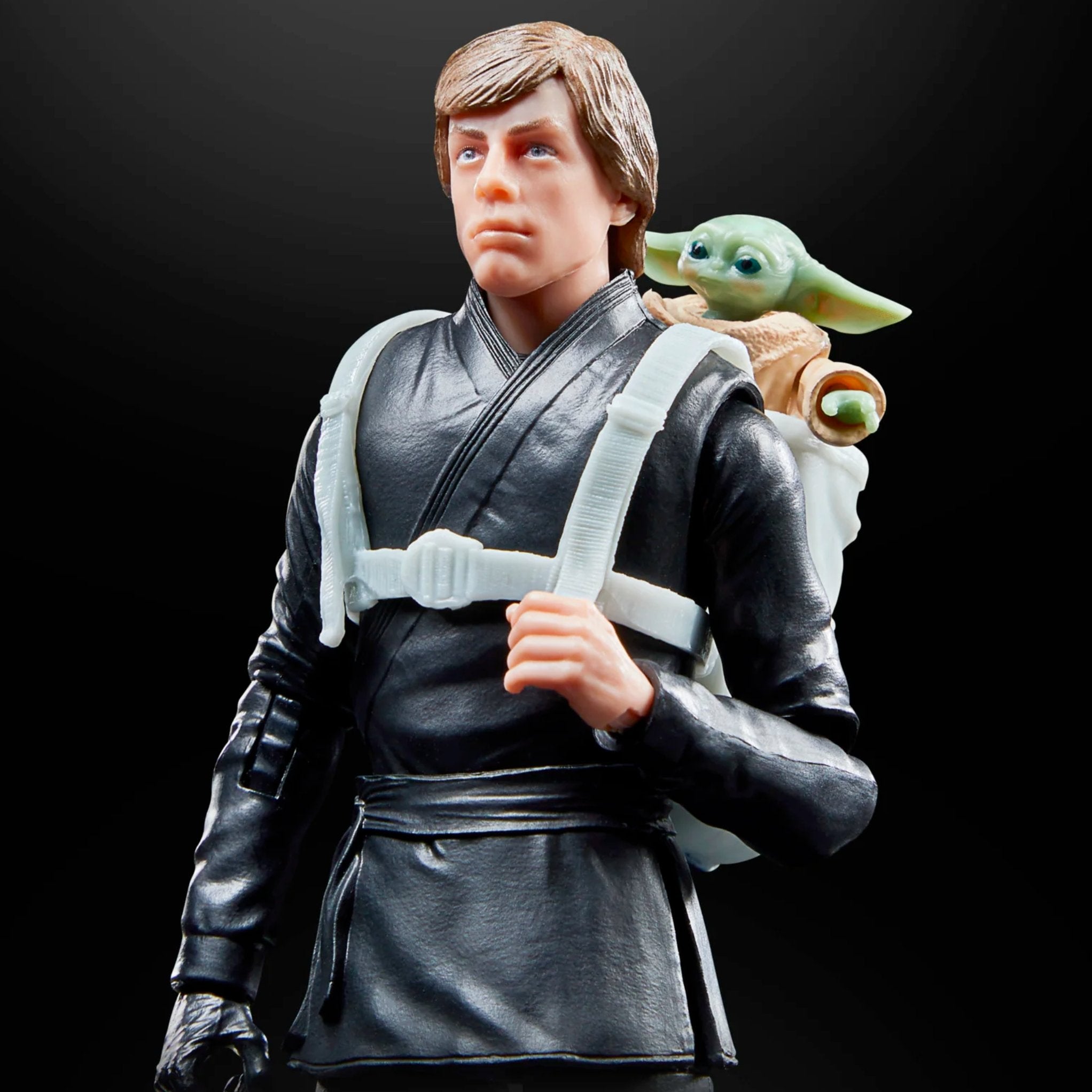 Star Wars Black Series Luke Skywalker & Grogu、mySite、hgirdovlk