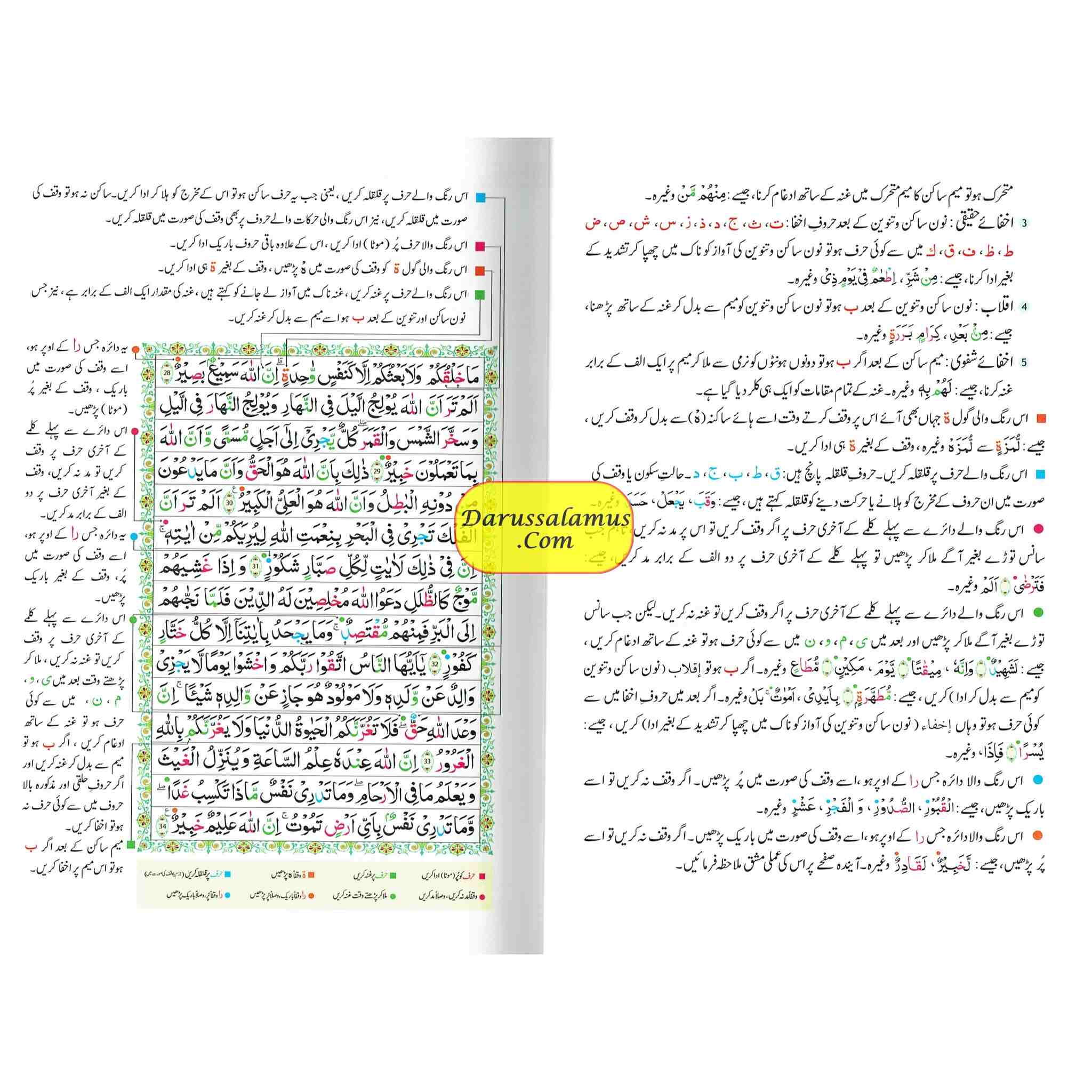 Tajweedi Quran with Urdu Tajweed Rules 16 Lines 8.5 x 6.0 Inch (7B) Hafzi Tajweedi, Medium Size,Standard Print、mySite、topwebapps