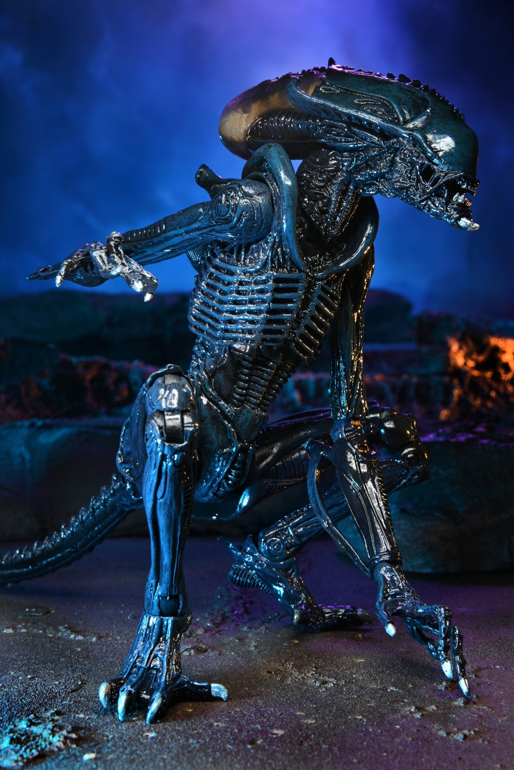 NECA Alien vs. Predator Arachnoid (Movie Deco)、mySite、hgirdovlk