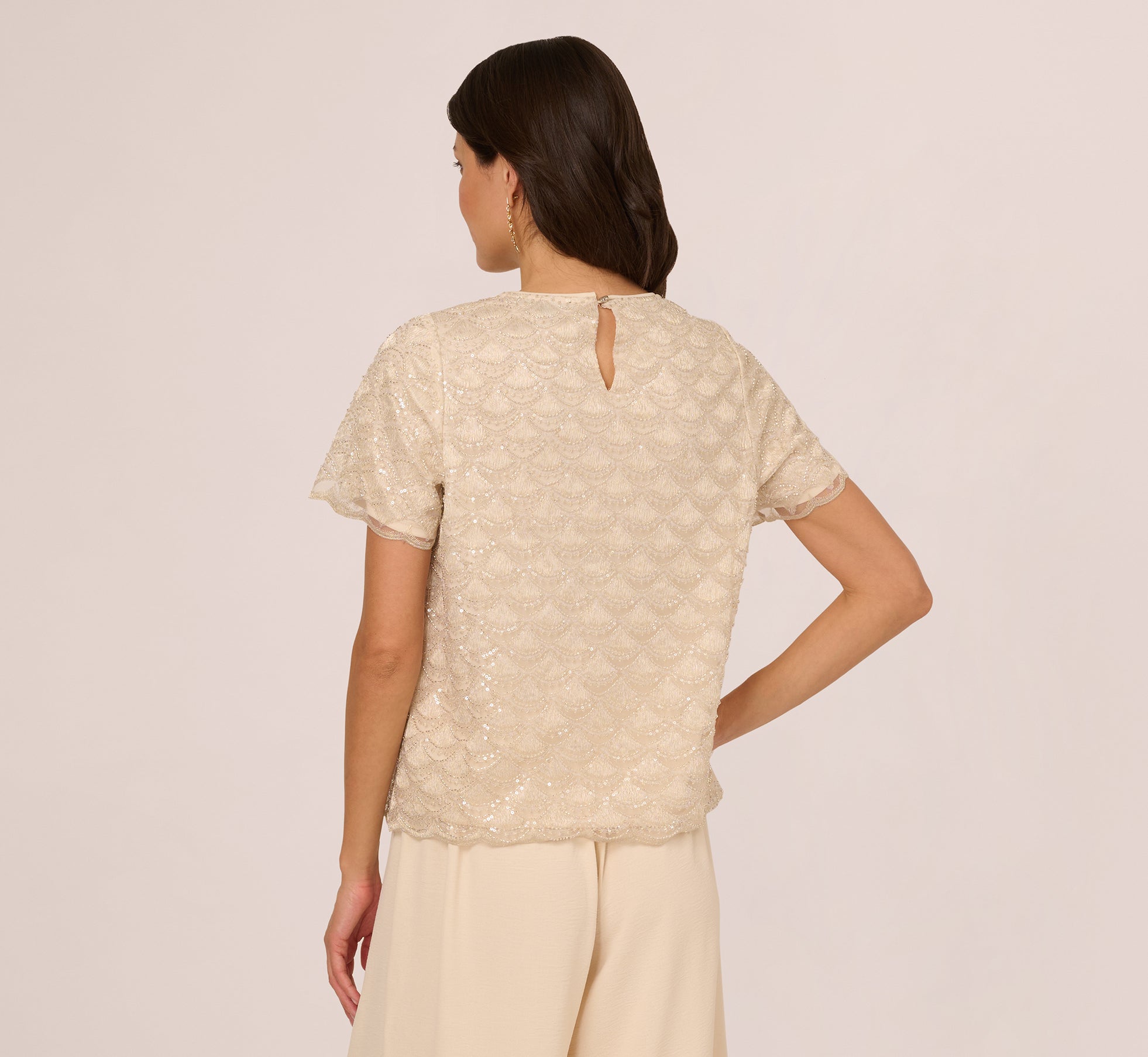 Short Sleeve Sequin Overlay Top In Pale Taupe、mySite、solidvoid