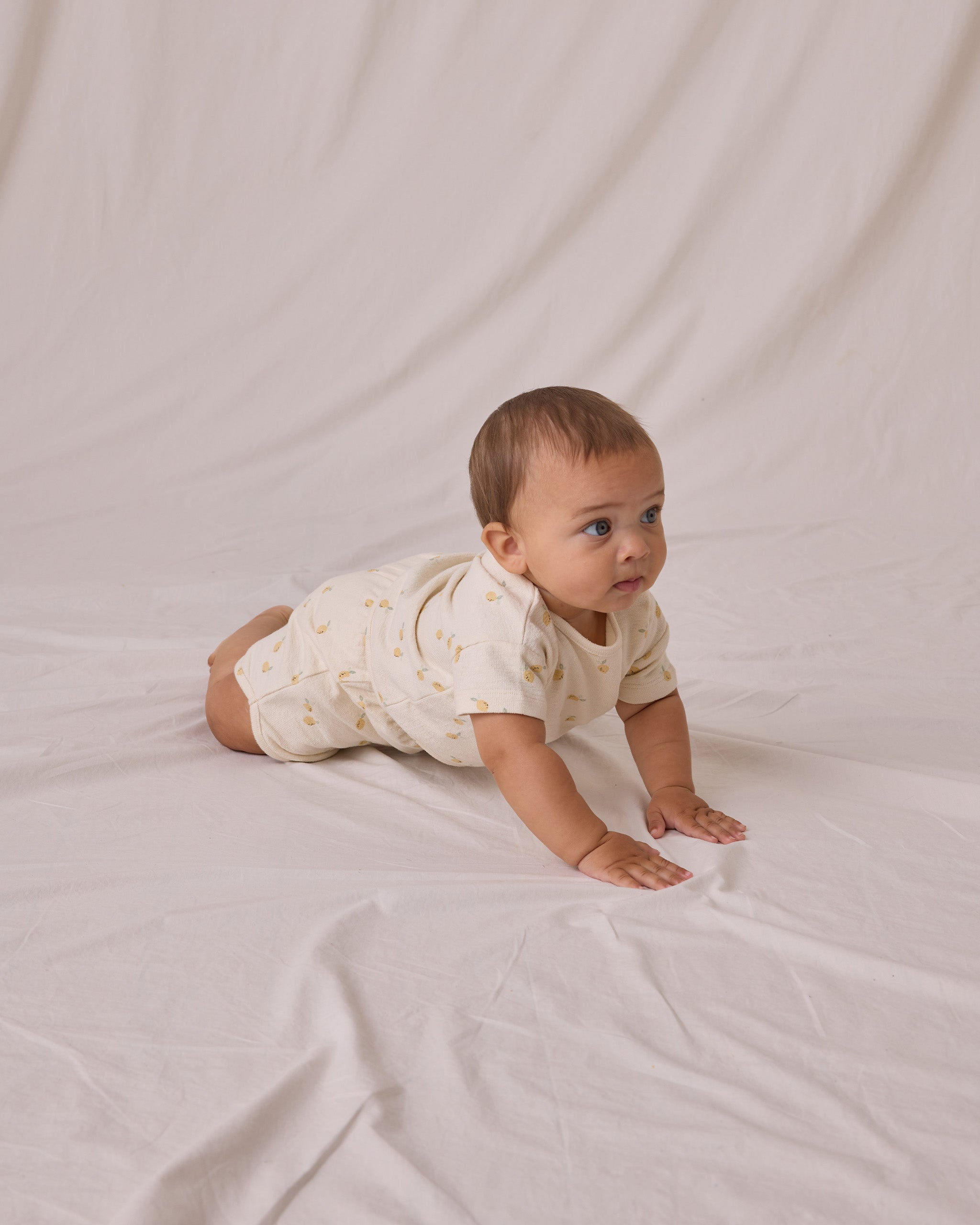  Spongy Play Set || Lemons、mySite、layawaytickets