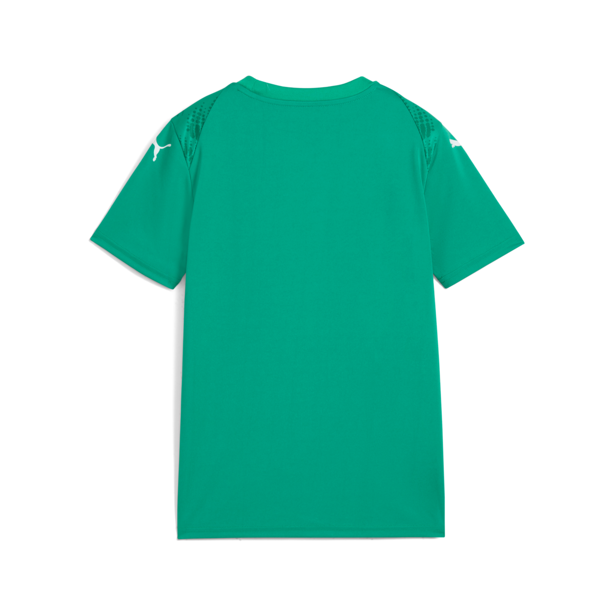Puma Youth Teamultimate Jersey - Green、mySite、noshort