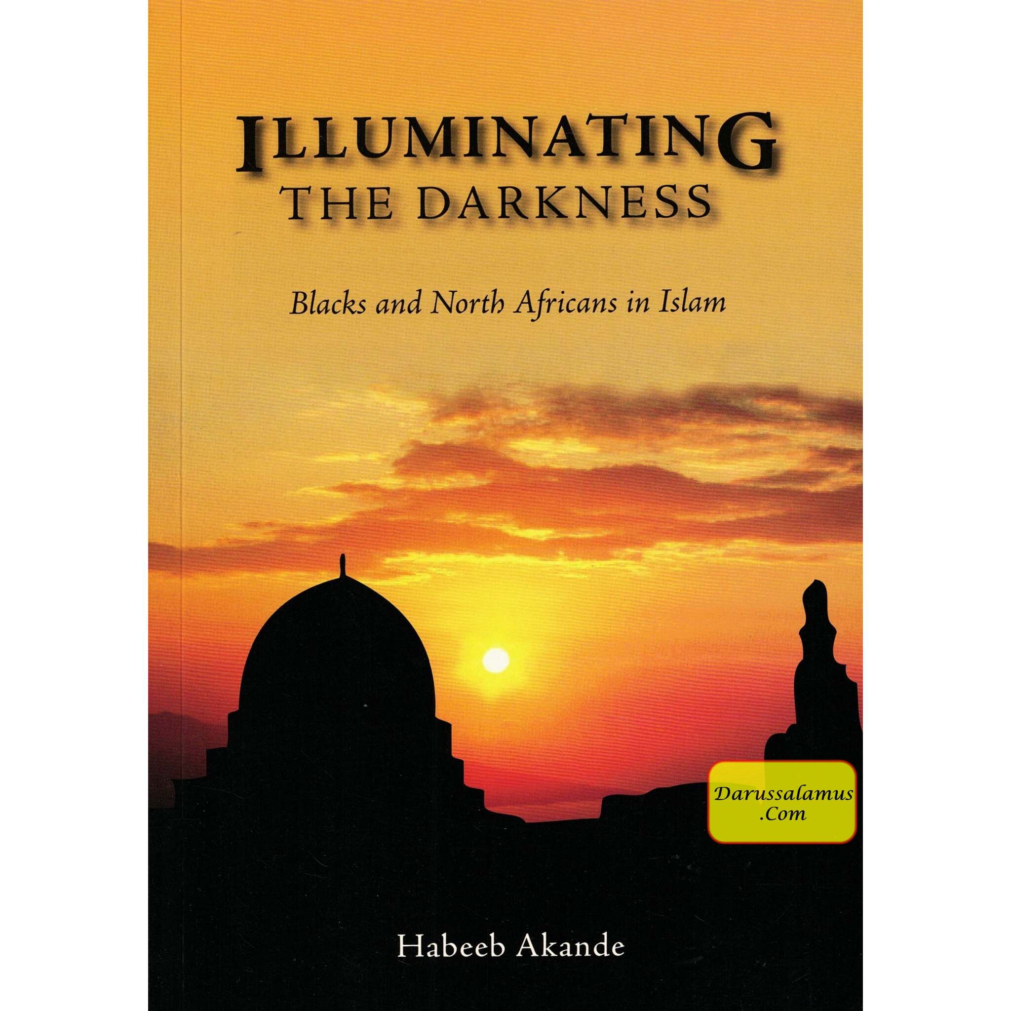 Illuminating the Darkness By Habeeb Akande、mySite、topwebapps