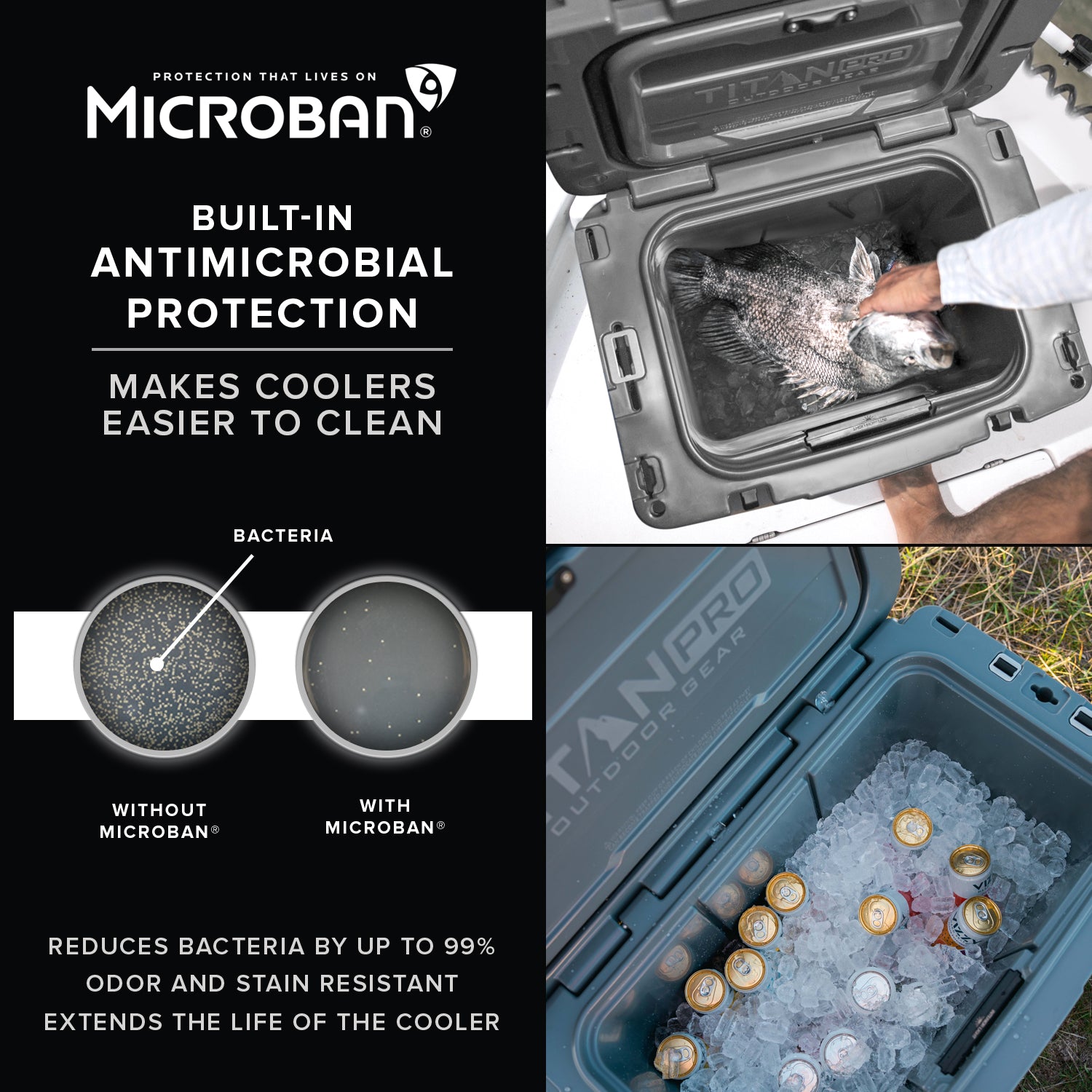 55Q High Performance Roto Hard Cooler、mySite、noshort