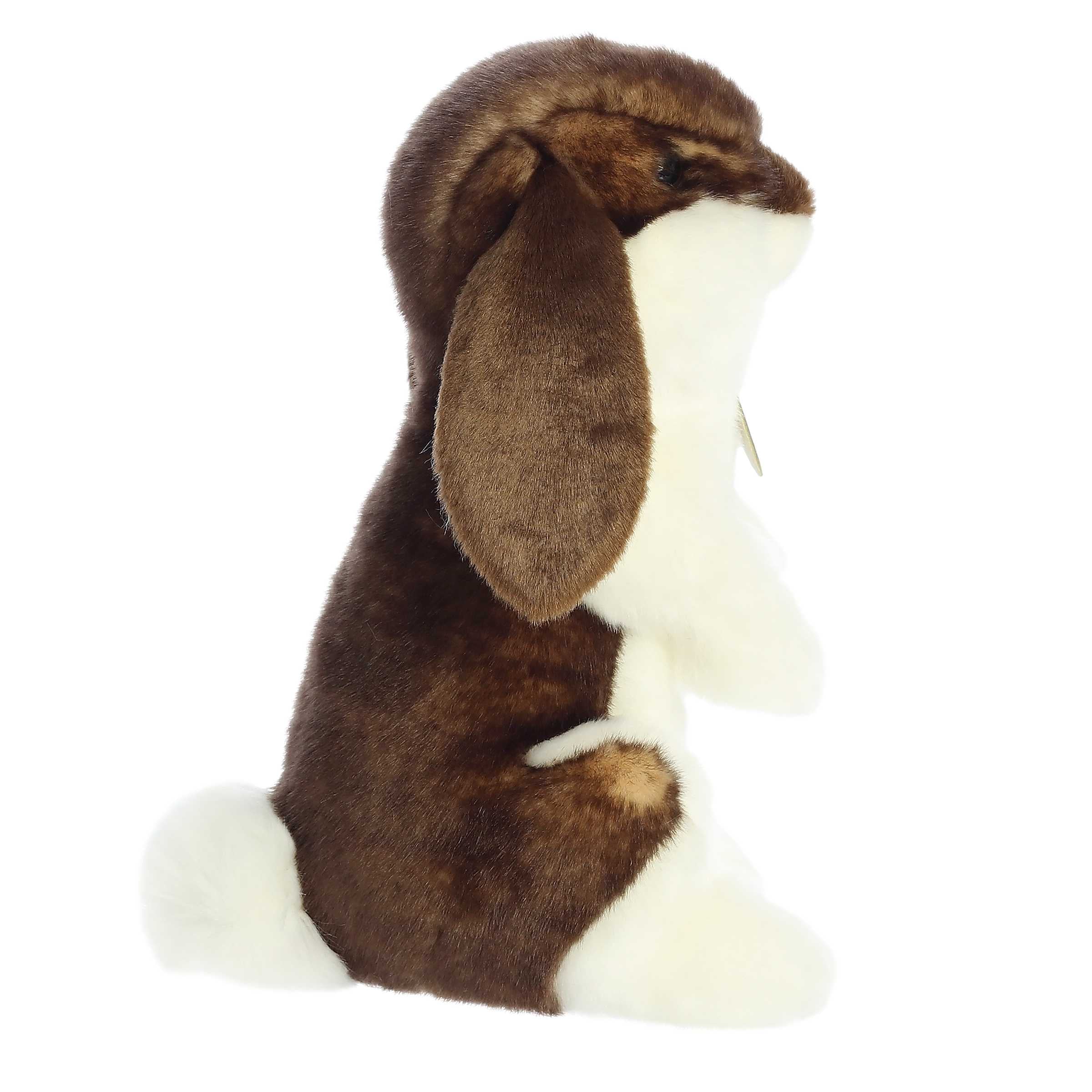 Aurora® - Miyoni® - Sitting Pretty™ - 10 English Lop Rabbit、mySite、g9winljtr