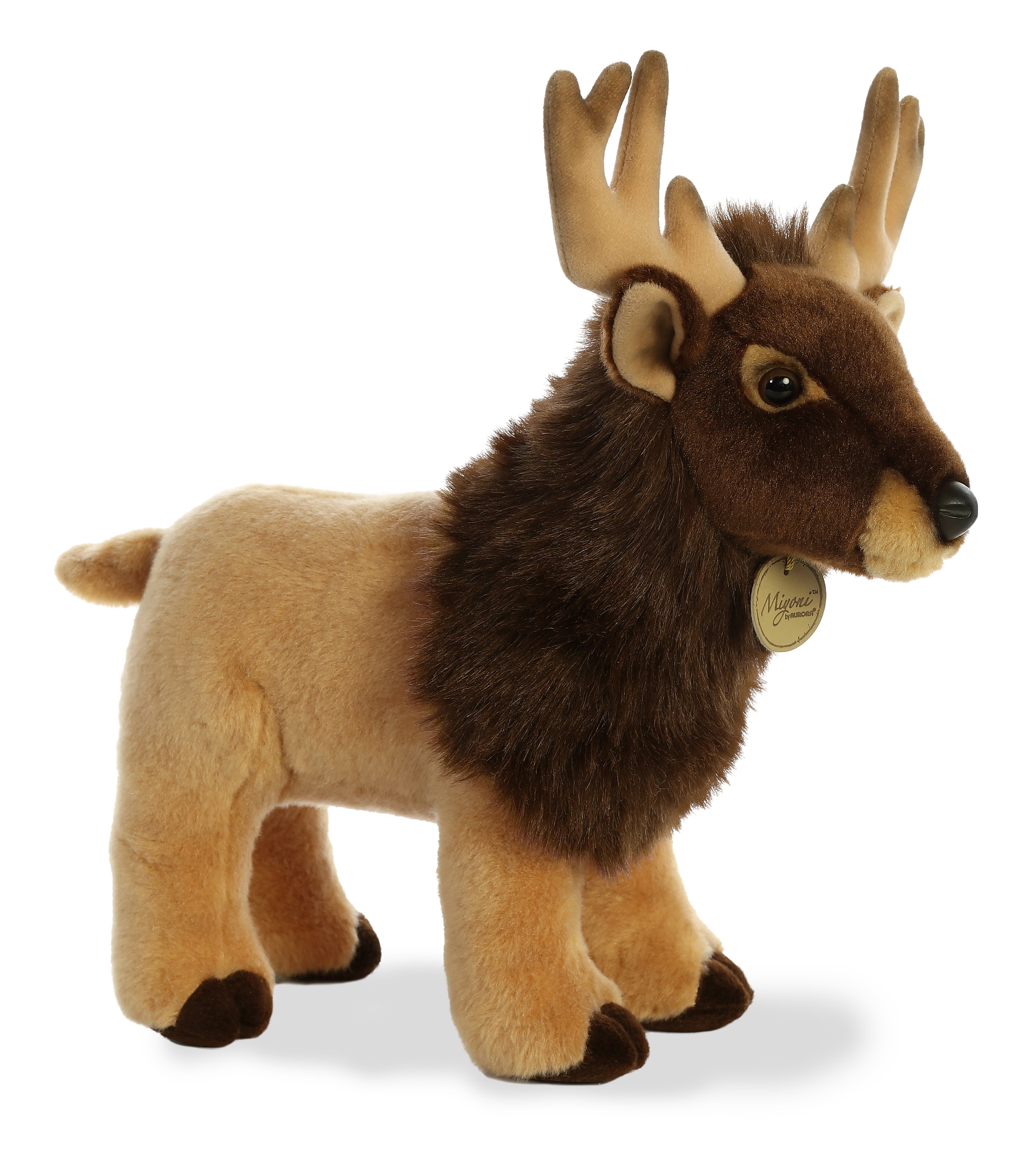 Aurora® - Miyoni® - 14 Elk、mySite、g9winljtr