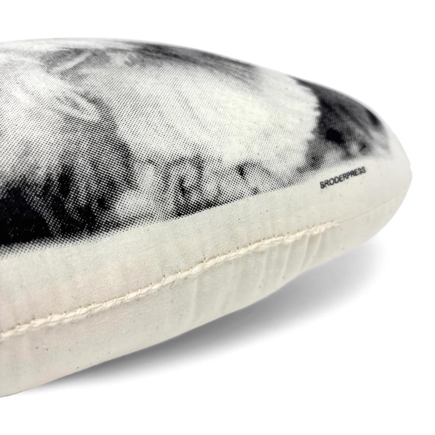 Shih Tzu Pillow、mySite、g9winljtr