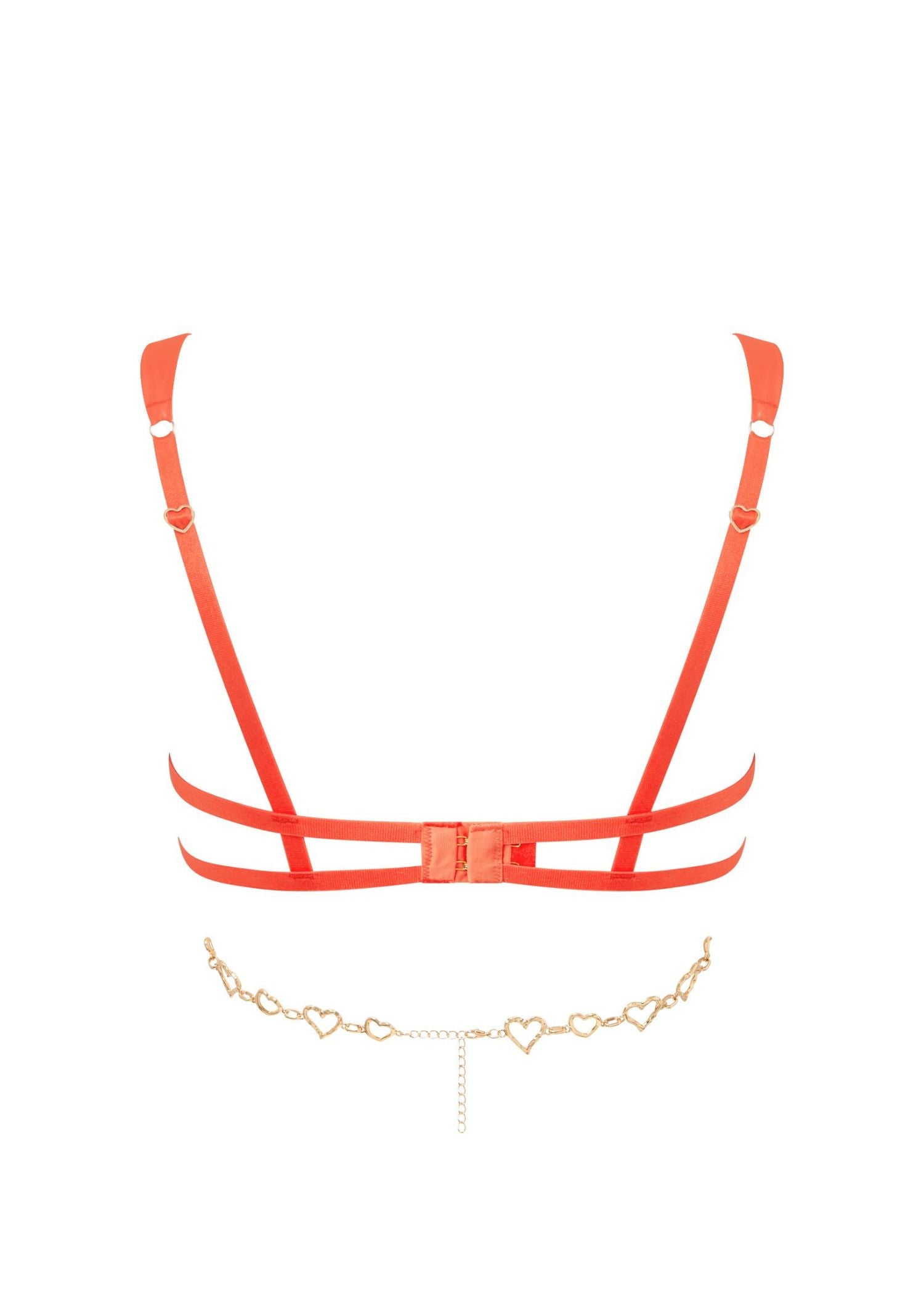  Phoenix Open Wired Bra (Hot Coral/Gold)、mySite、justintrudeaud