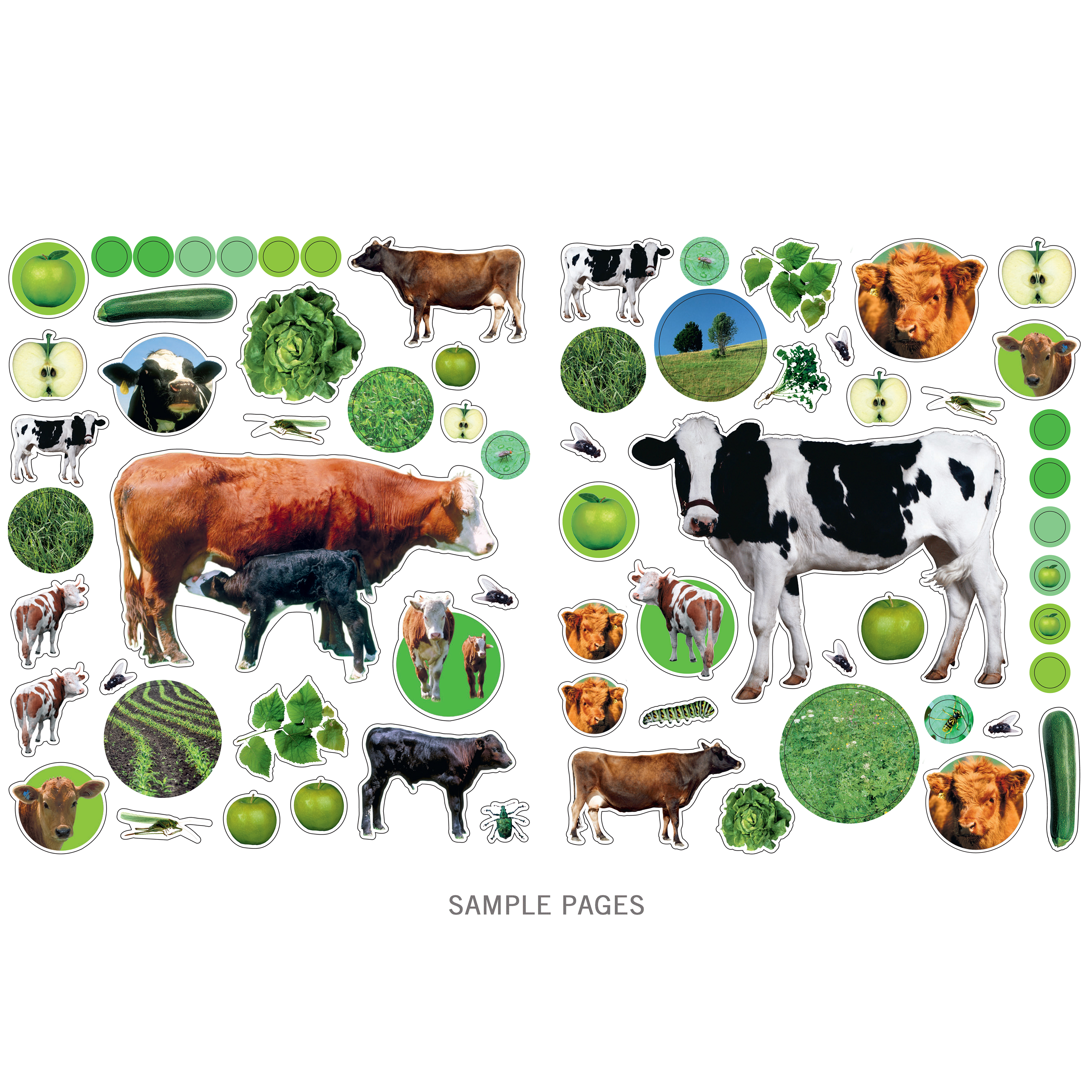  On The Farm Eyelike Sticker Activity Book、mySite、ghnorth