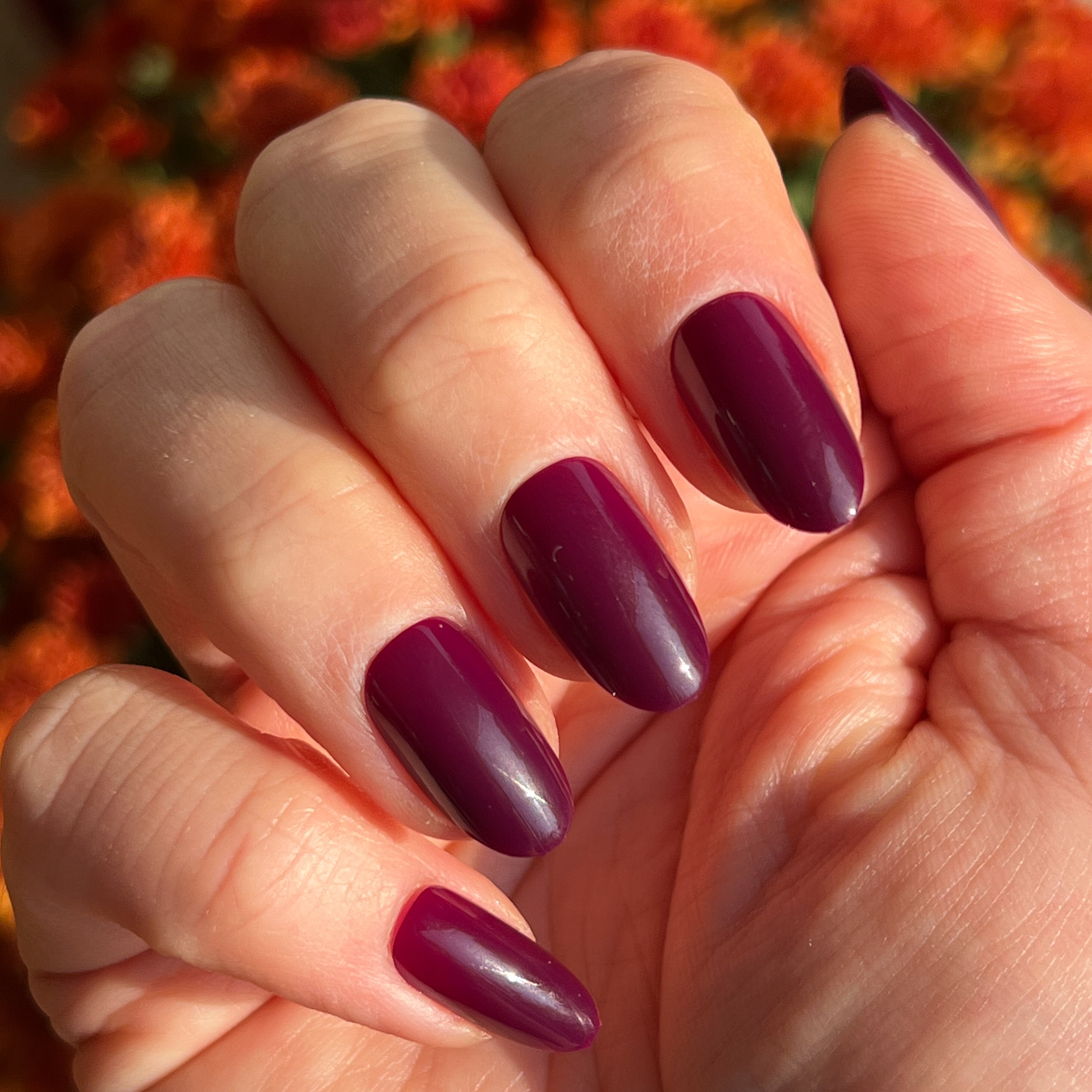 Plaza | Oval | Medium、mySite、solidvoid