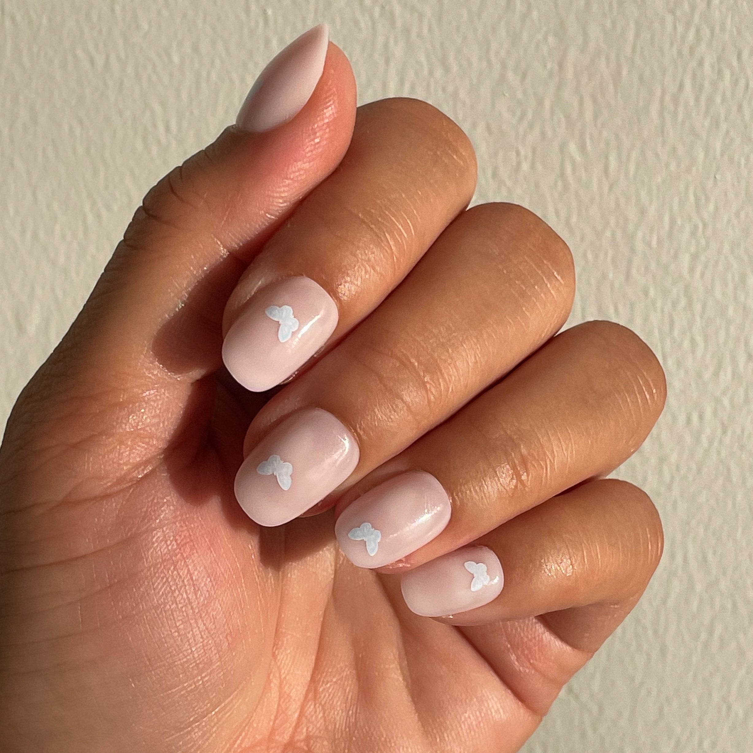 Butterfly Party | Round | Extra Short、mySite、solidvoid