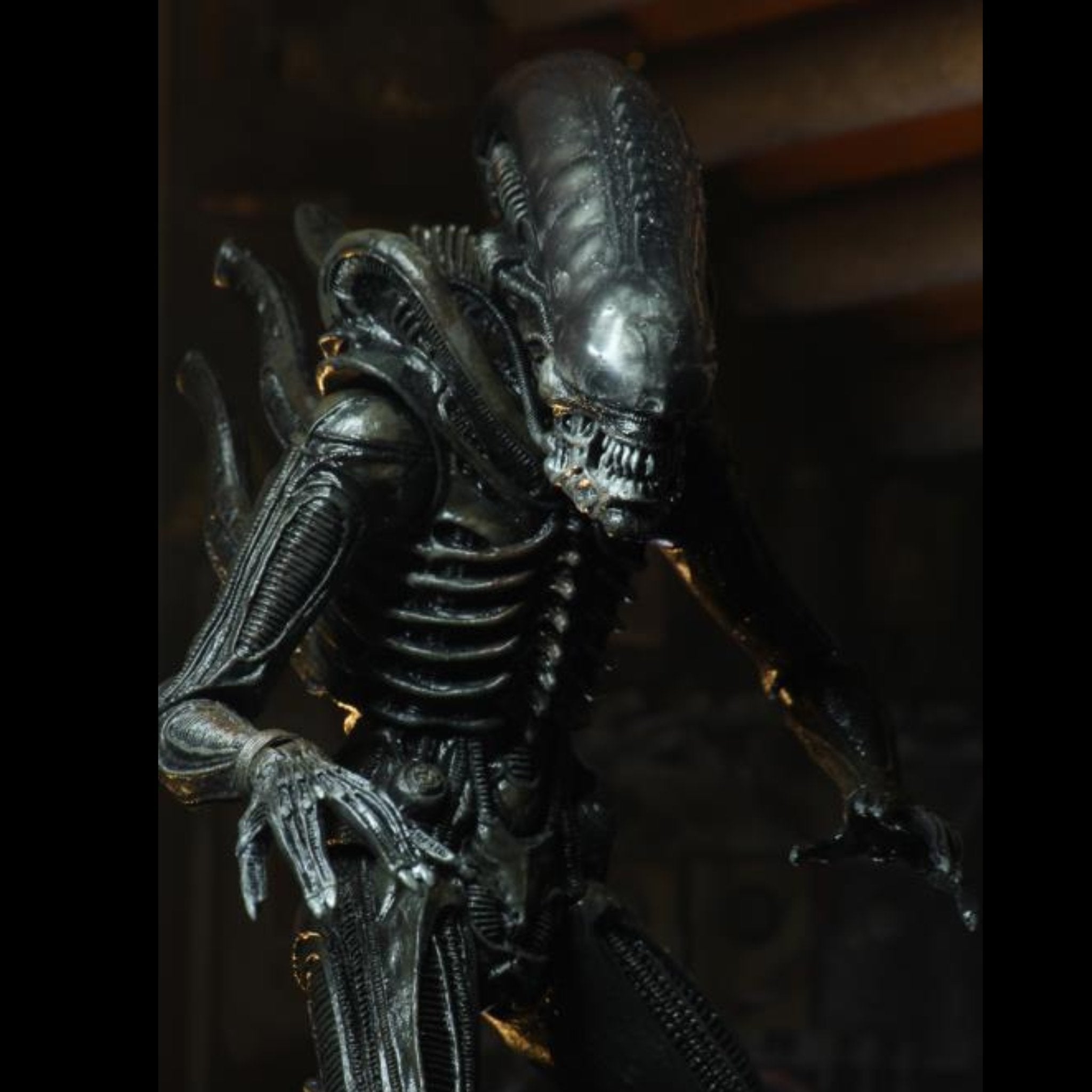 NECA Alien 40th Anniversary Ultimate Big Chap (Re-Issue)、mySite、hgirdovlk