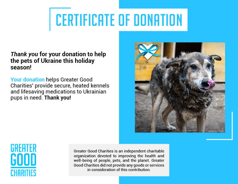 Keep Ukrainian Shelter Pets Warm & Safe、mySite、camillekostekn
