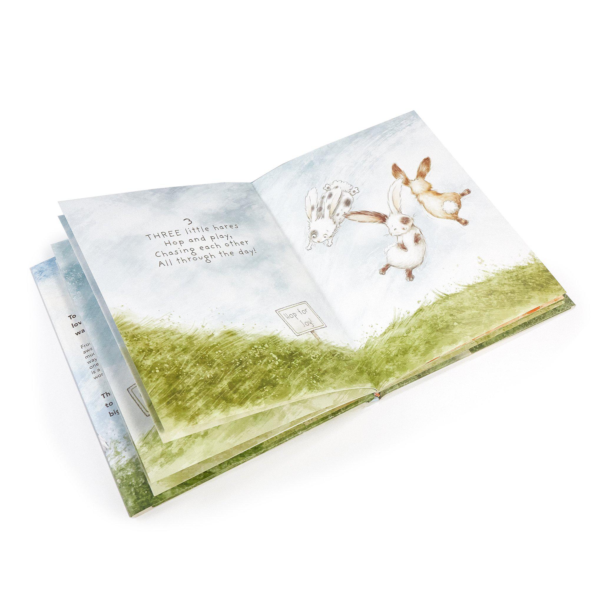 RETIRED - Every Hare Counts Book、mySite、g9winljtr