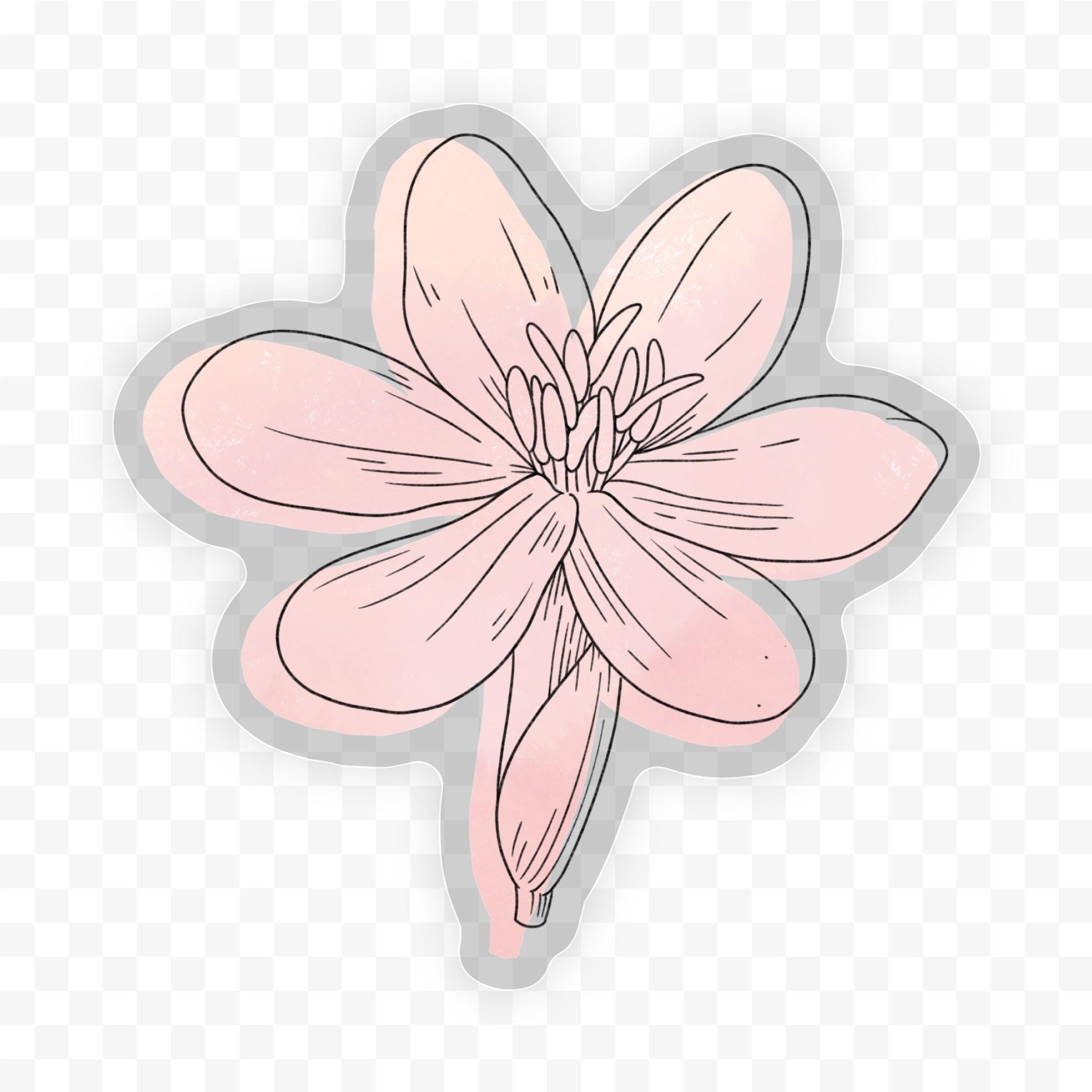  Eleutherine Bulbosa Watercolor - Clear Sticker、mySite、ghnorth