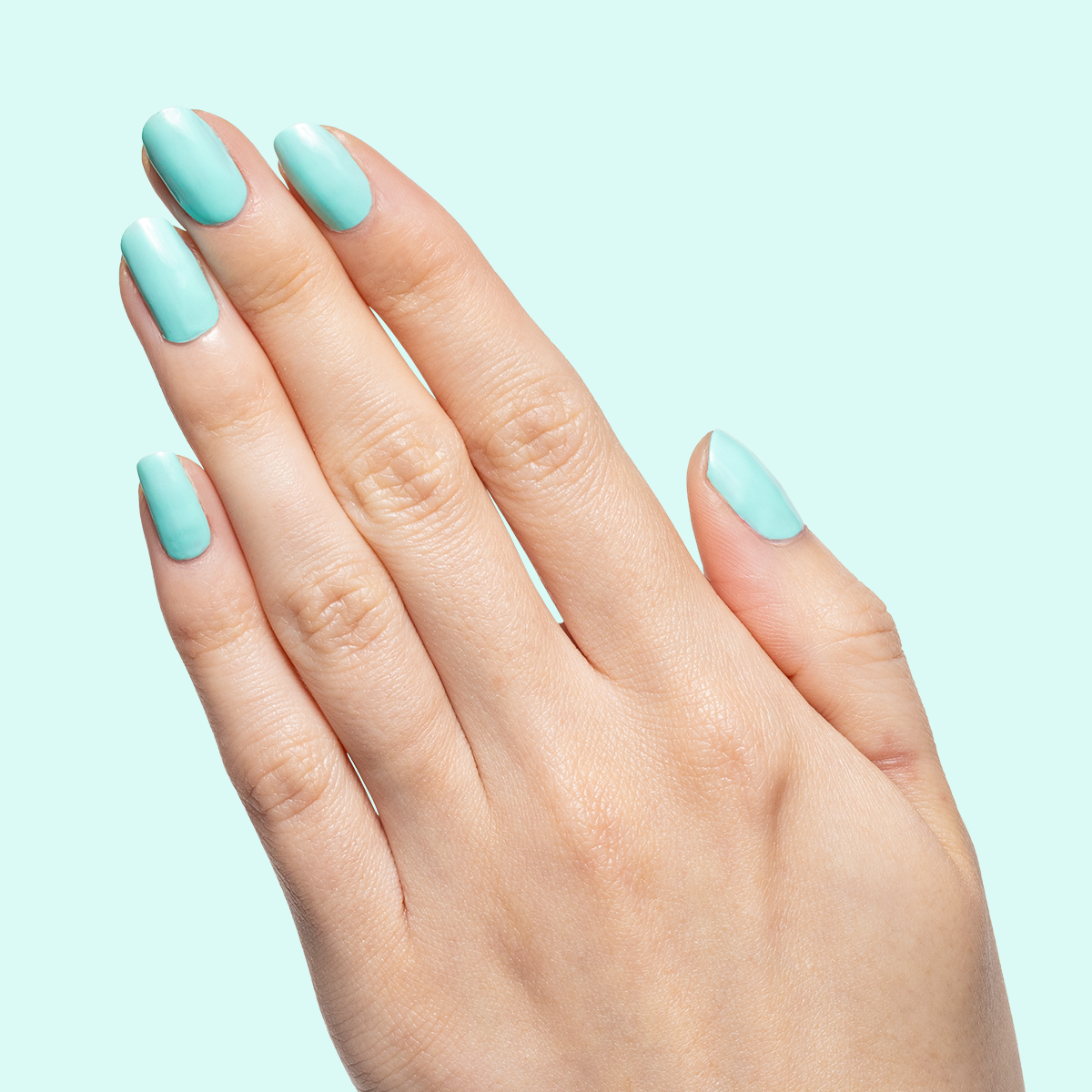 All Manis on Deck、mySite、solidvoid