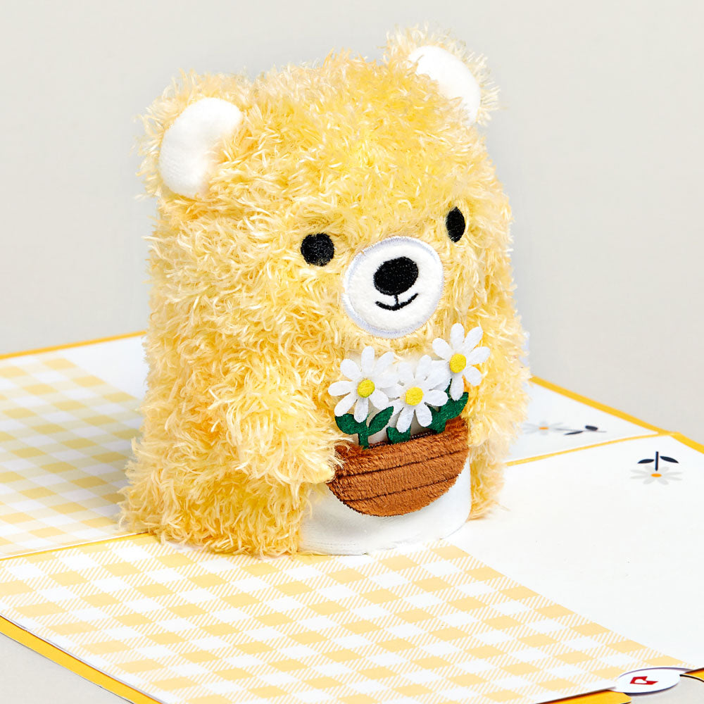 Daisy Greetings Plushpop Card and Bouquet Bundle、mySite、solidvoid