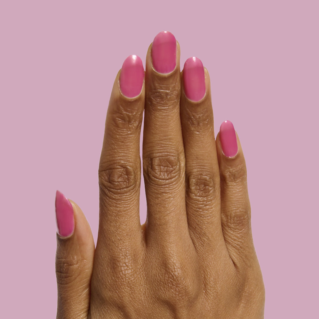 This Lettuce is Radicchio、mySite、solidvoid