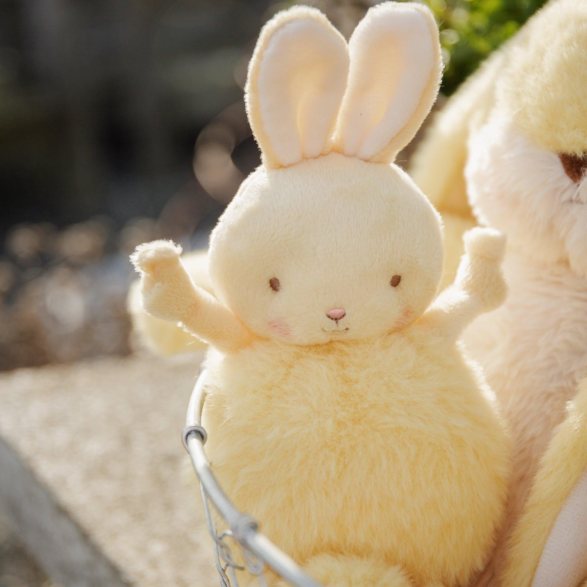 Roly Poly Bunny - Lemongrass、mySite、g9winljtr