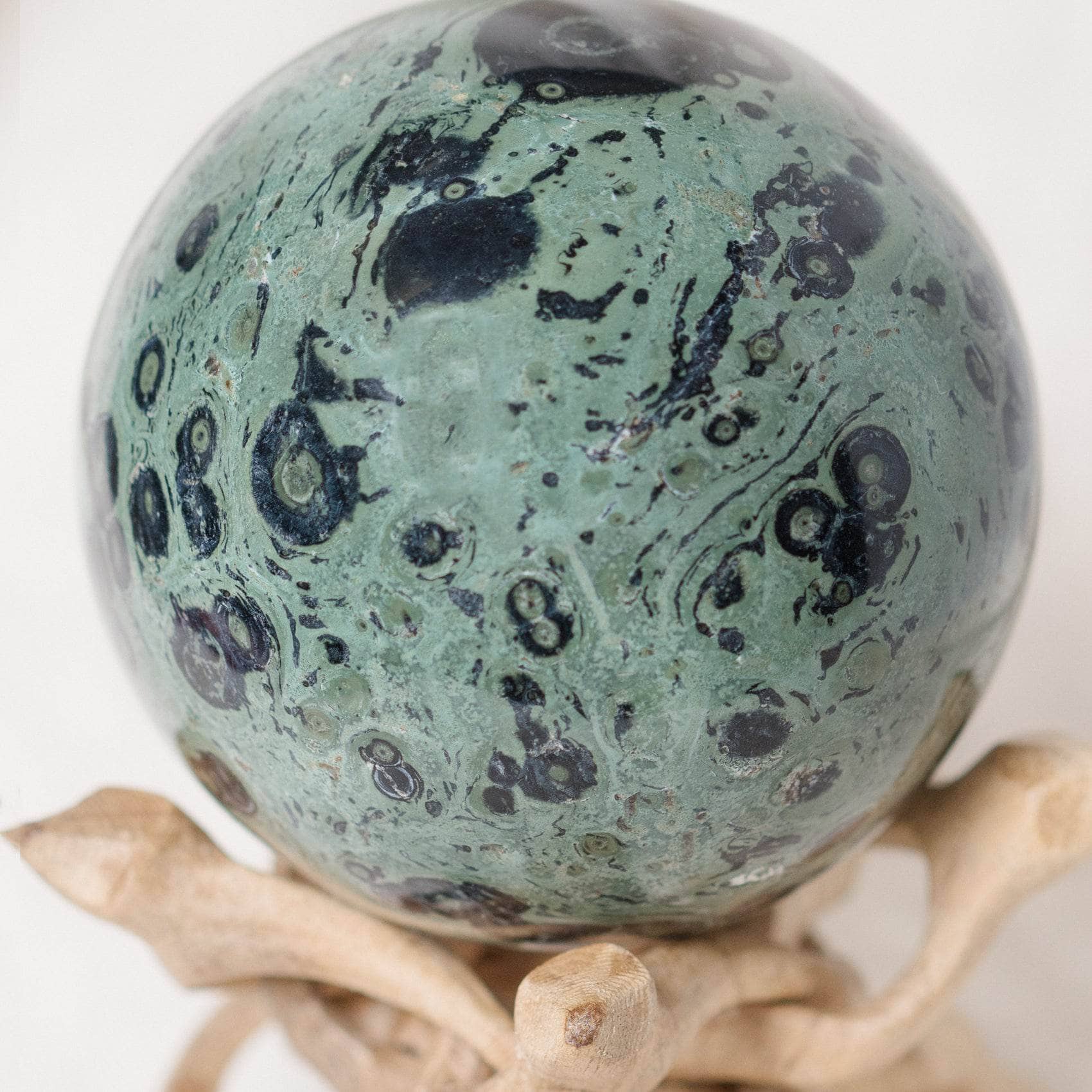 Kambaba Jasper Sphere - AAA Premium Quality、mySite、hinf8tx79