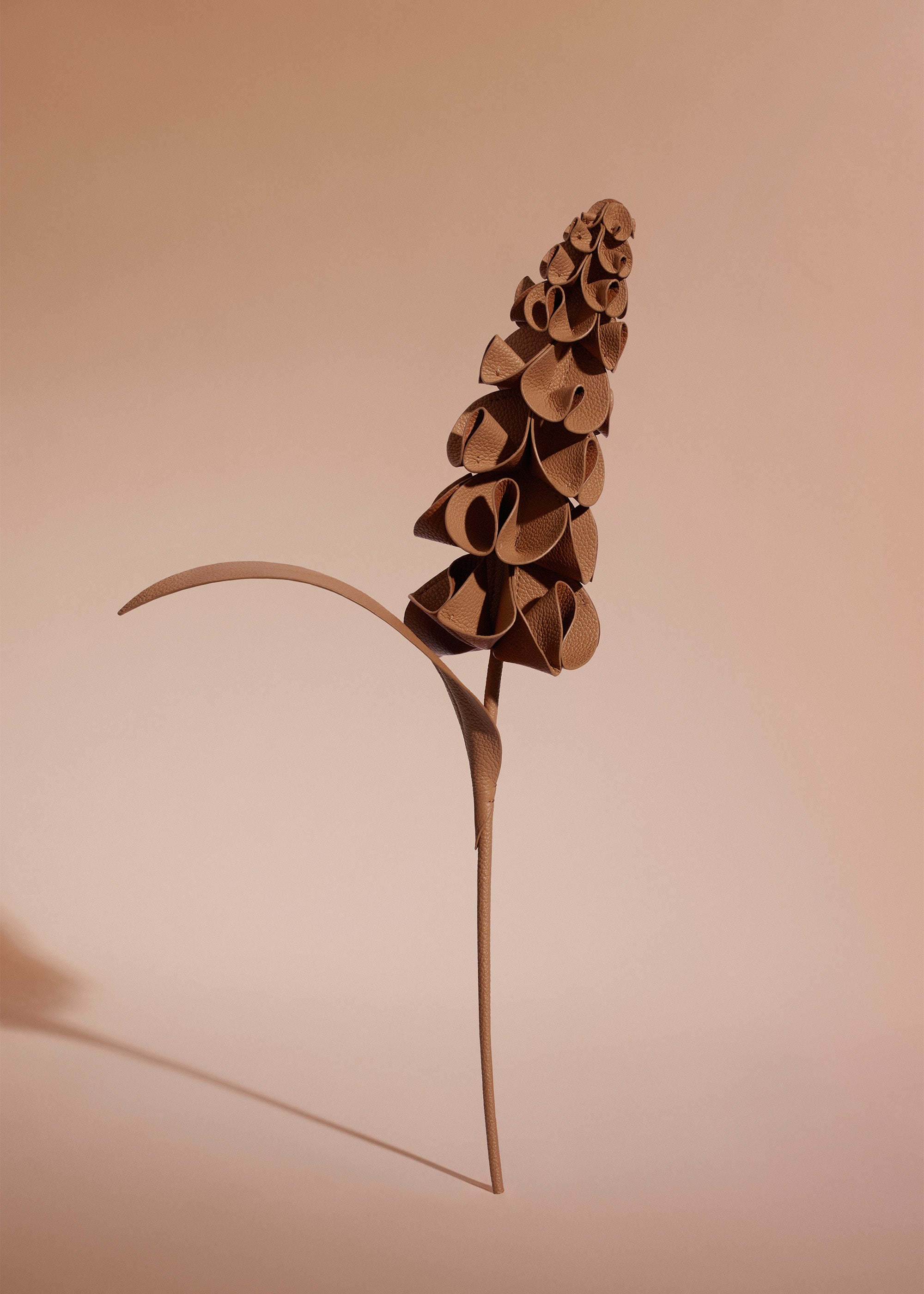 Fleur Orki - Duo Tan Grain茅、mySite、camillekostekn