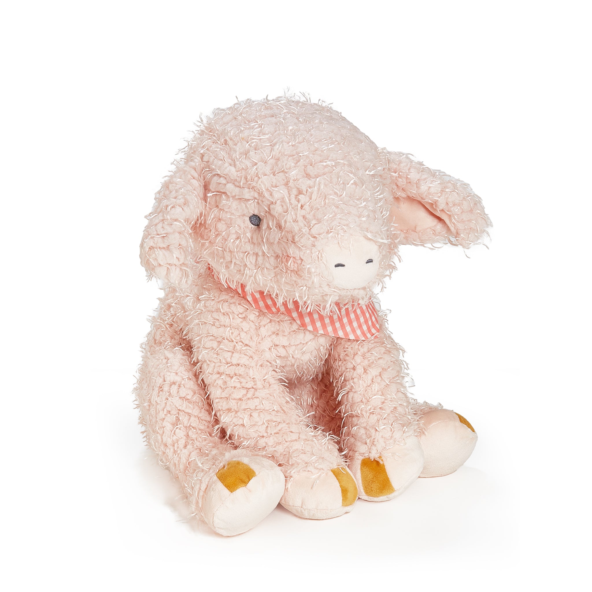 Big Hammie the Pig、mySite、g9winljtr