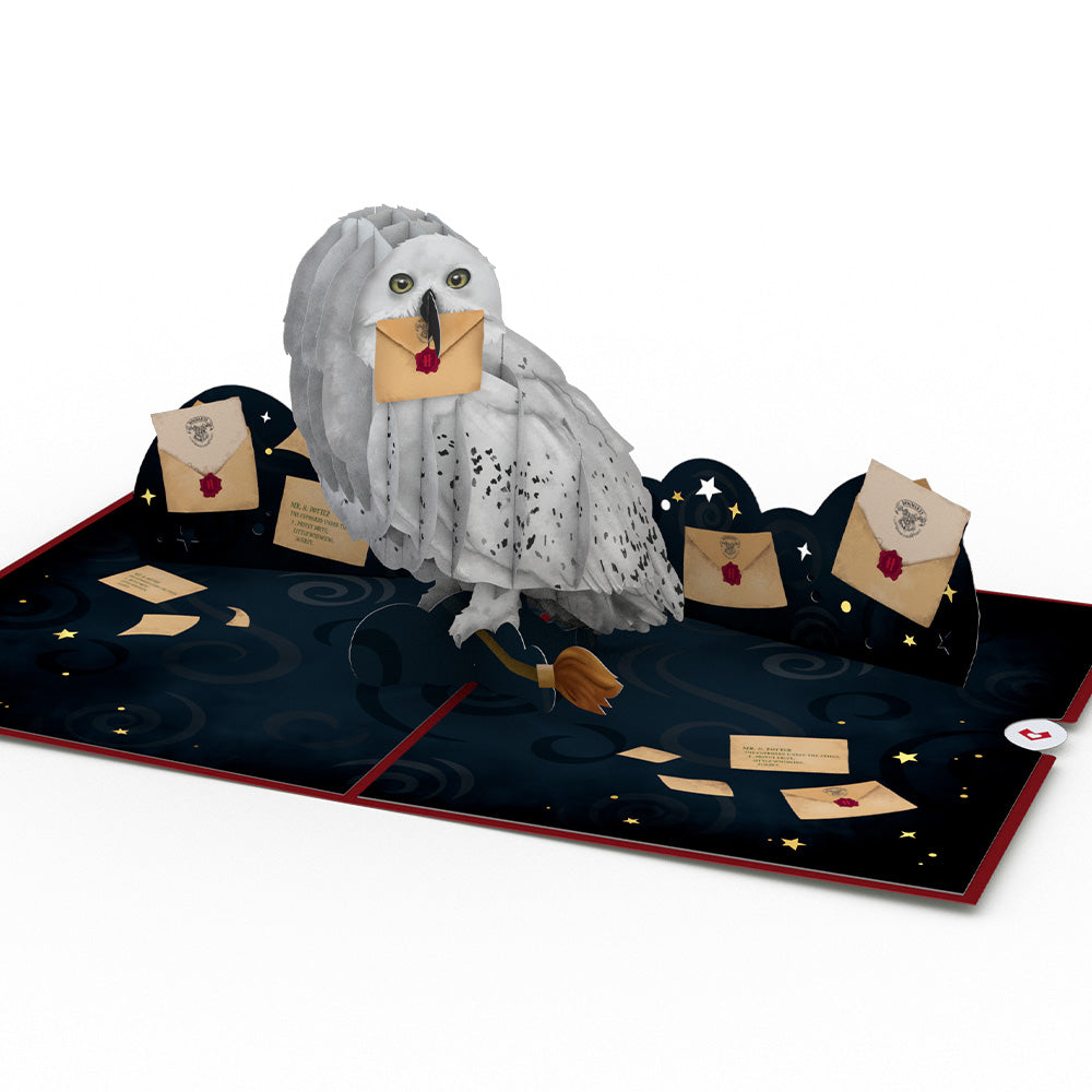 Harry Potter™ Hedwig™ Birthday Delivery Pop-Up Card、mySite、solidvoid