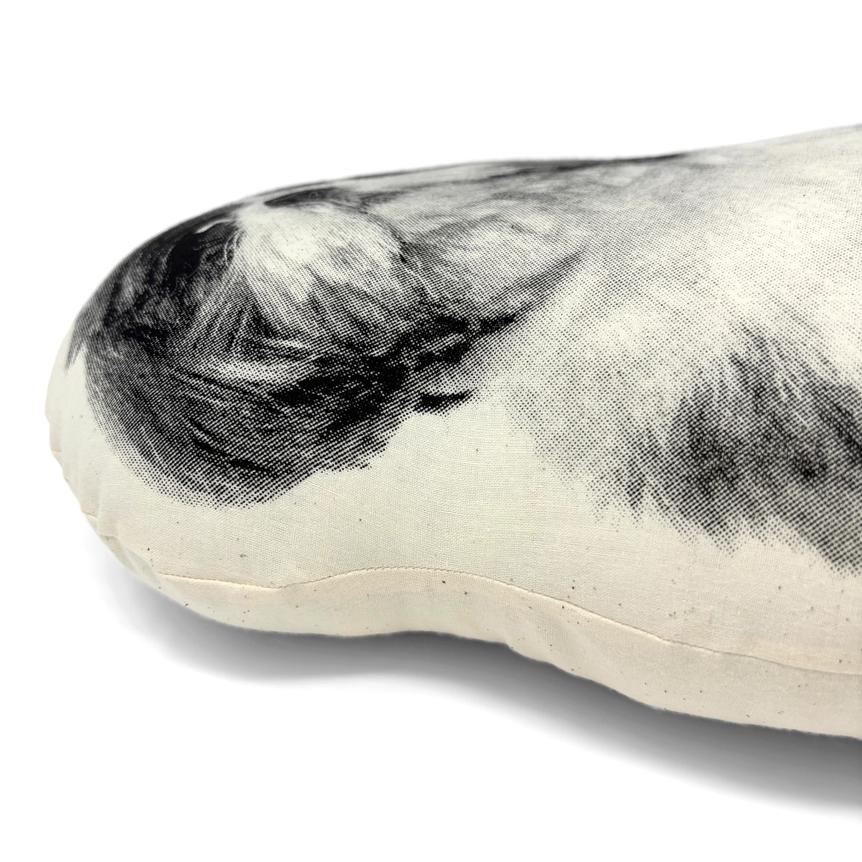 Shih Tzu Pillow、mySite、g9winljtr