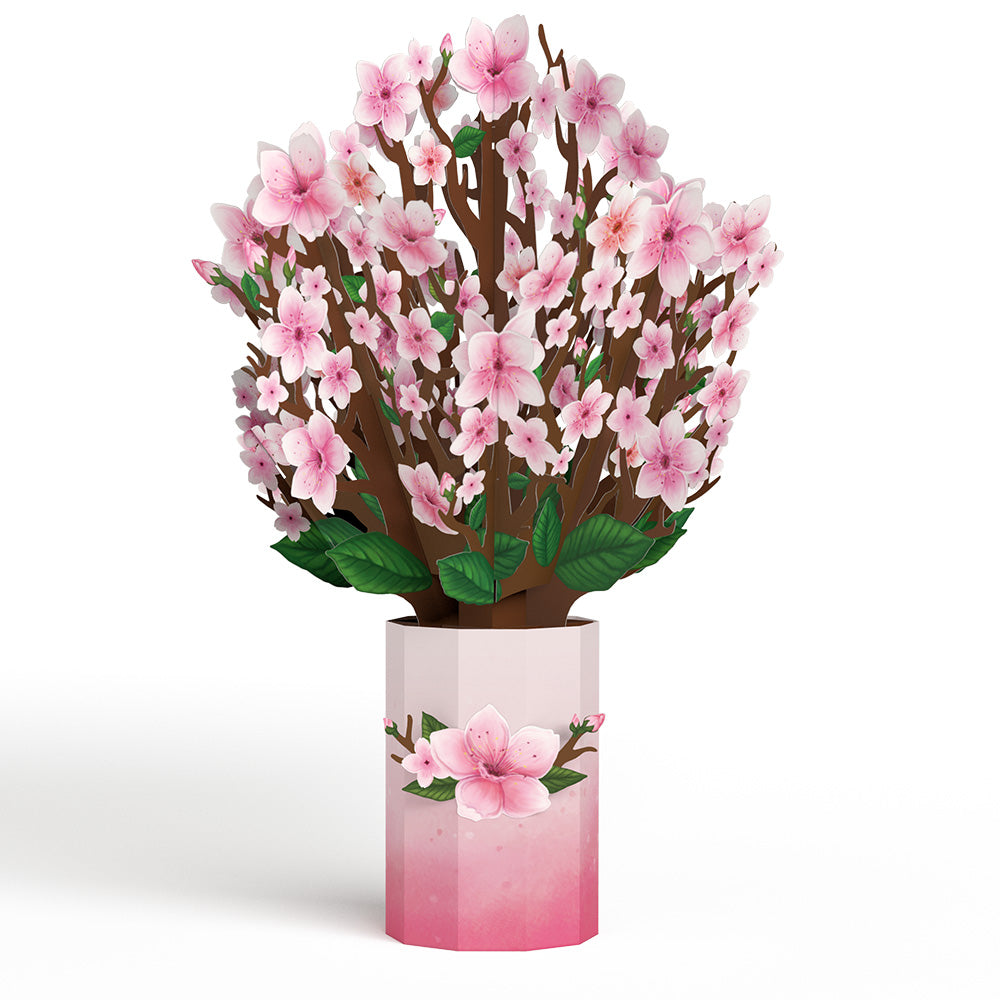Cherry Blossom Bouquet、mySite、solidvoid