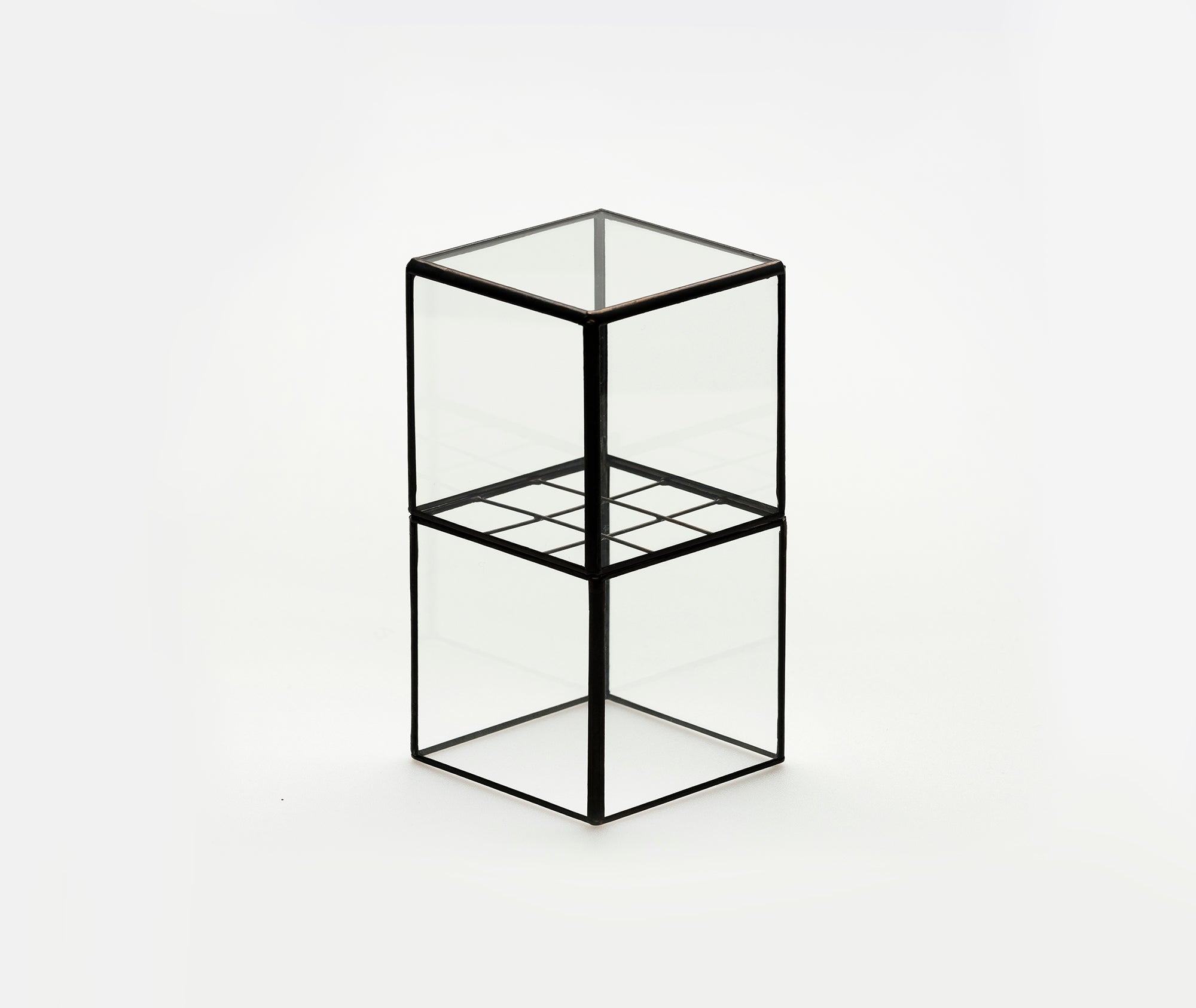 Hydro 80:80 Terrarium、mySite、topwebapps