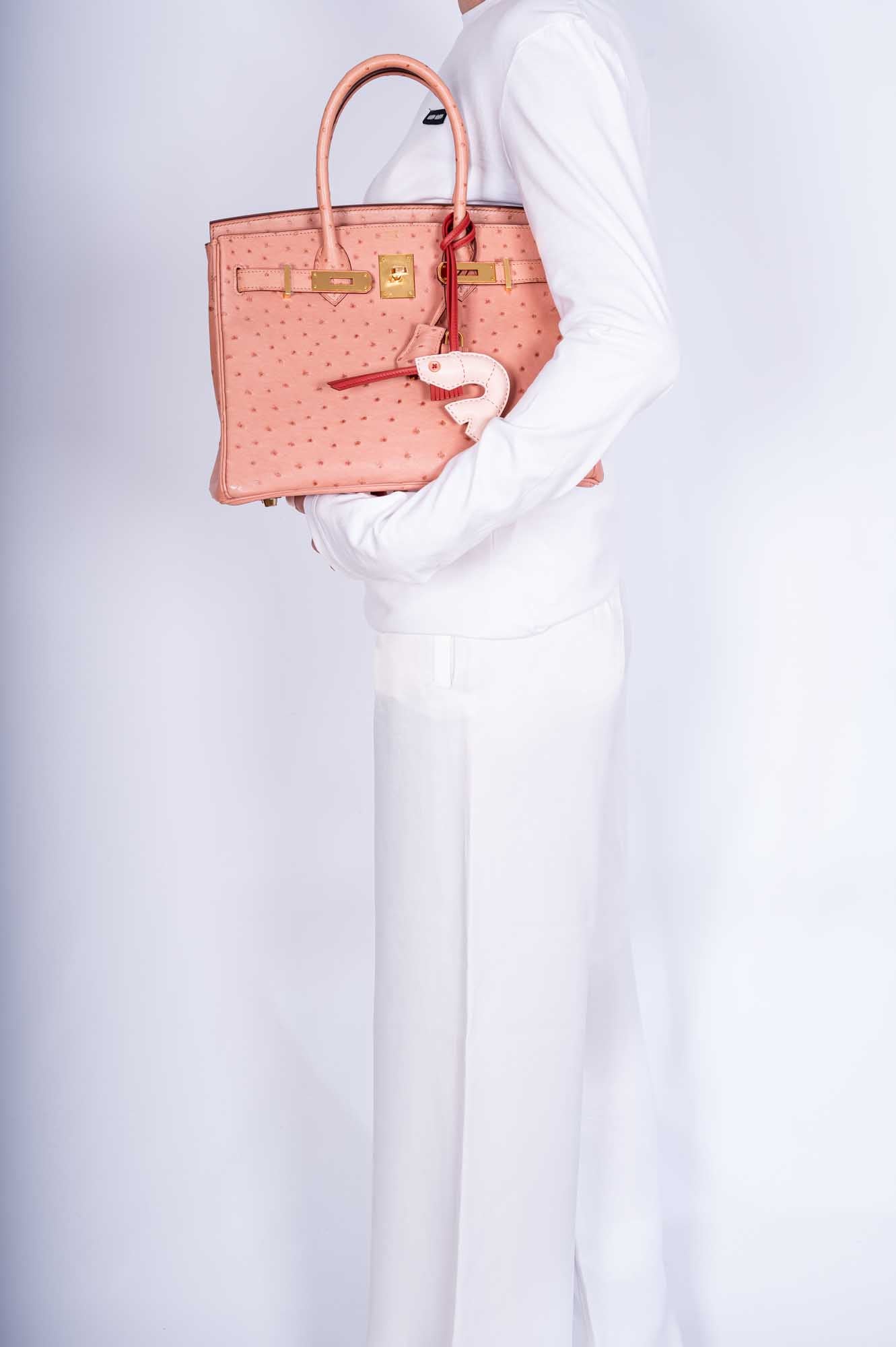 Hermès Birkin 30 Terre Cuite Ostrich Gold Hardware、mySite、garminoutage.com