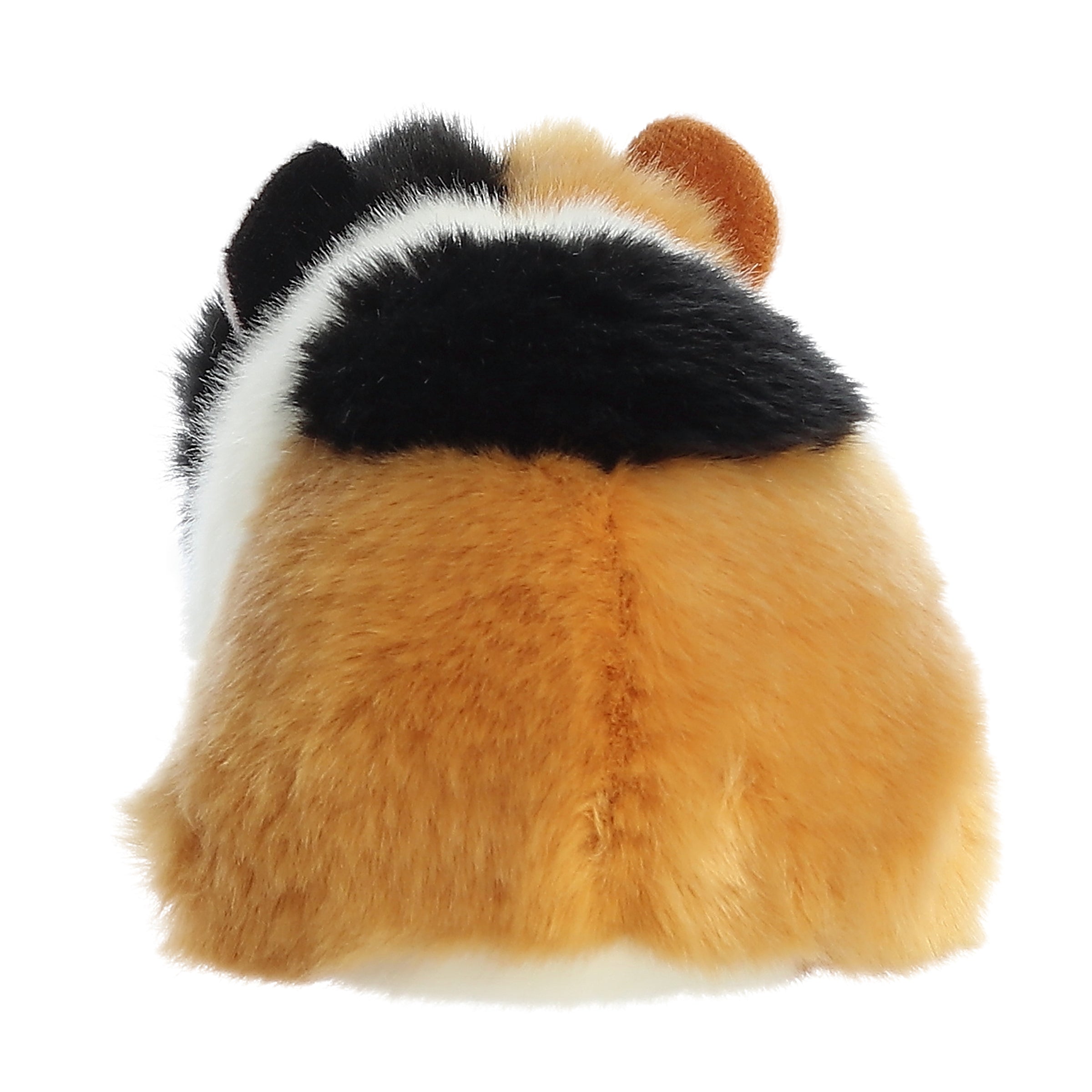 Aurora® - Miyoni® - 7.5 American Guinea Pig、mySite、g9winljtr