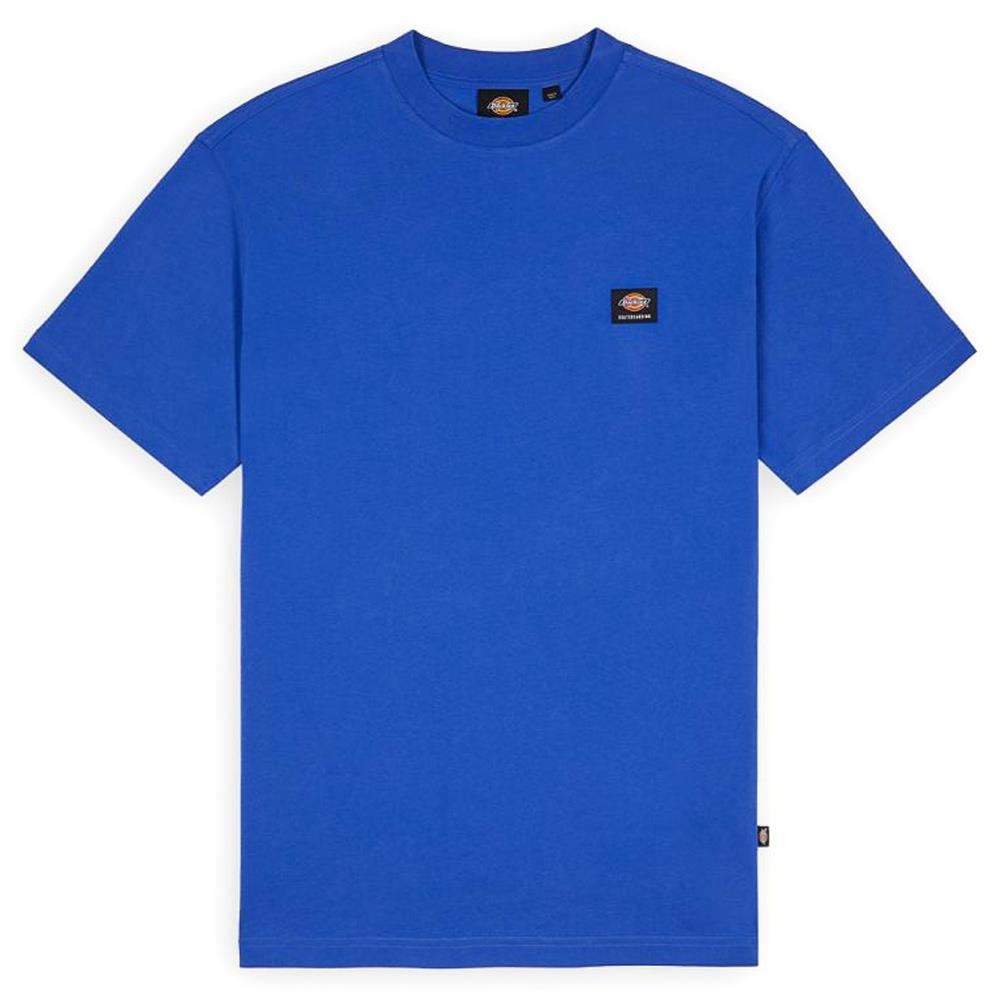  Dickies Mount Vista T-Shirt - Satin Sky、mySite、merchandisen