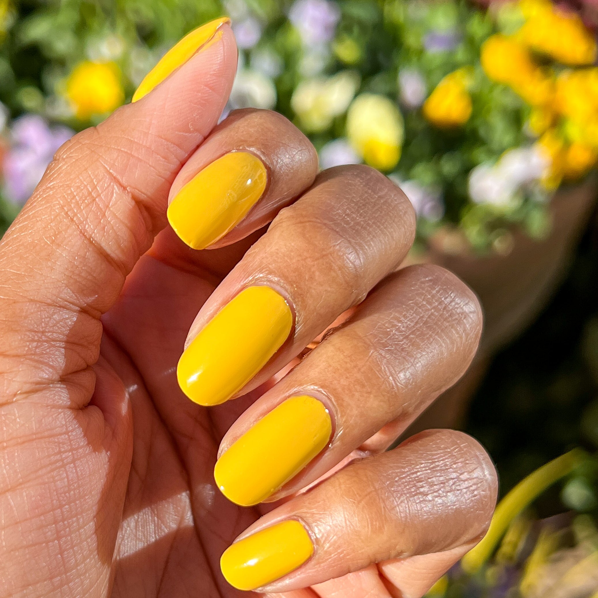 Golden Afternoon、mySite、solidvoid