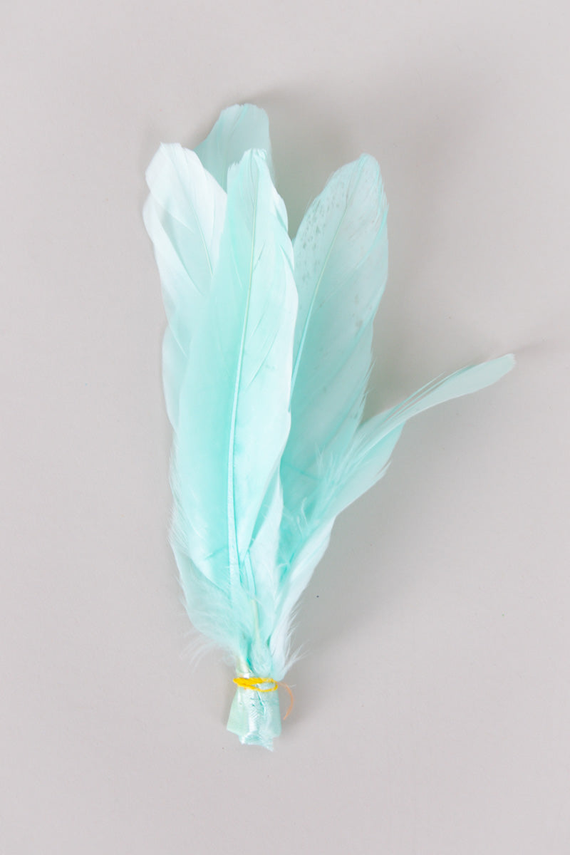 Goose Feathers Bundle of 6 - Yellow Rubber Band - FINAL SALE、mySite、hinf8tx79