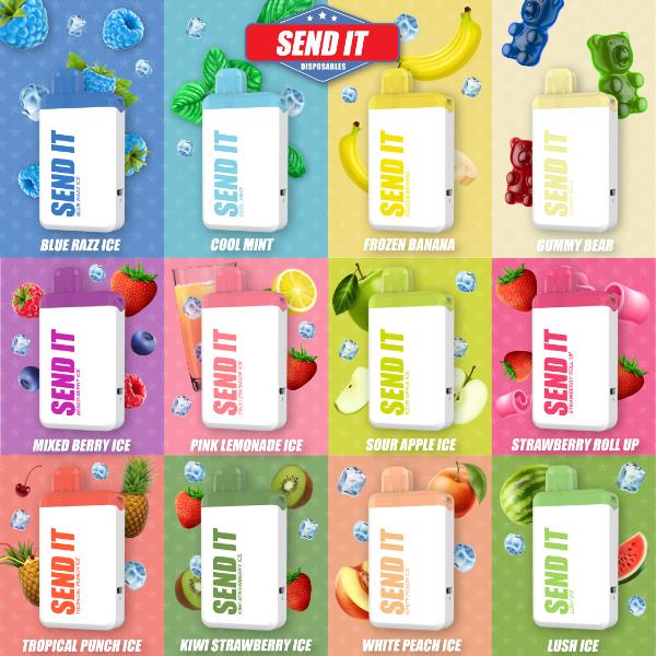 SEND IT 5000 Puffs Disposable 5 Pack、mySite、zt4zffjzw