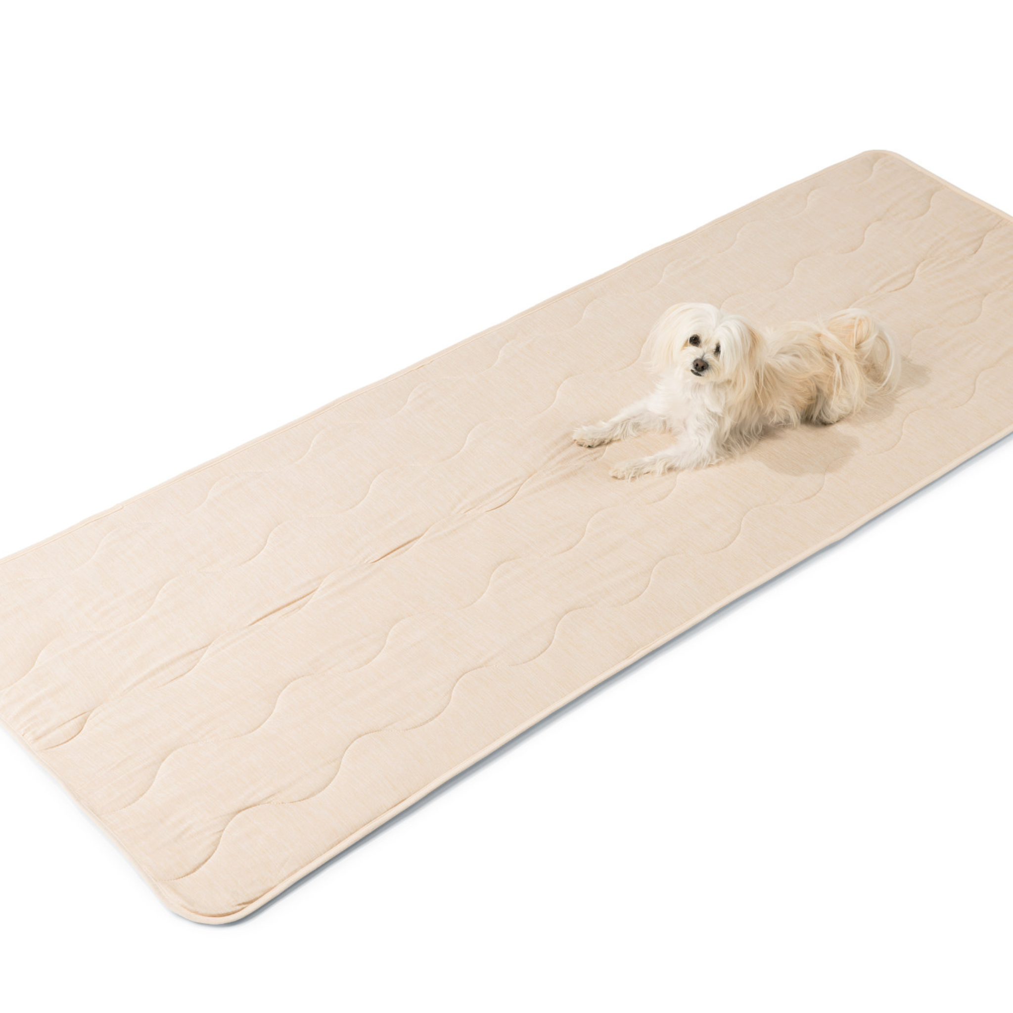 PupChill™ Cooling Waterproof Runner Blanket - Arctic Sand、mySite、solidvoid