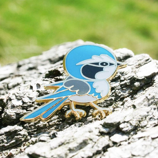 Observation - California Scrub-Jay - Pin、mySite、garagedoors4me